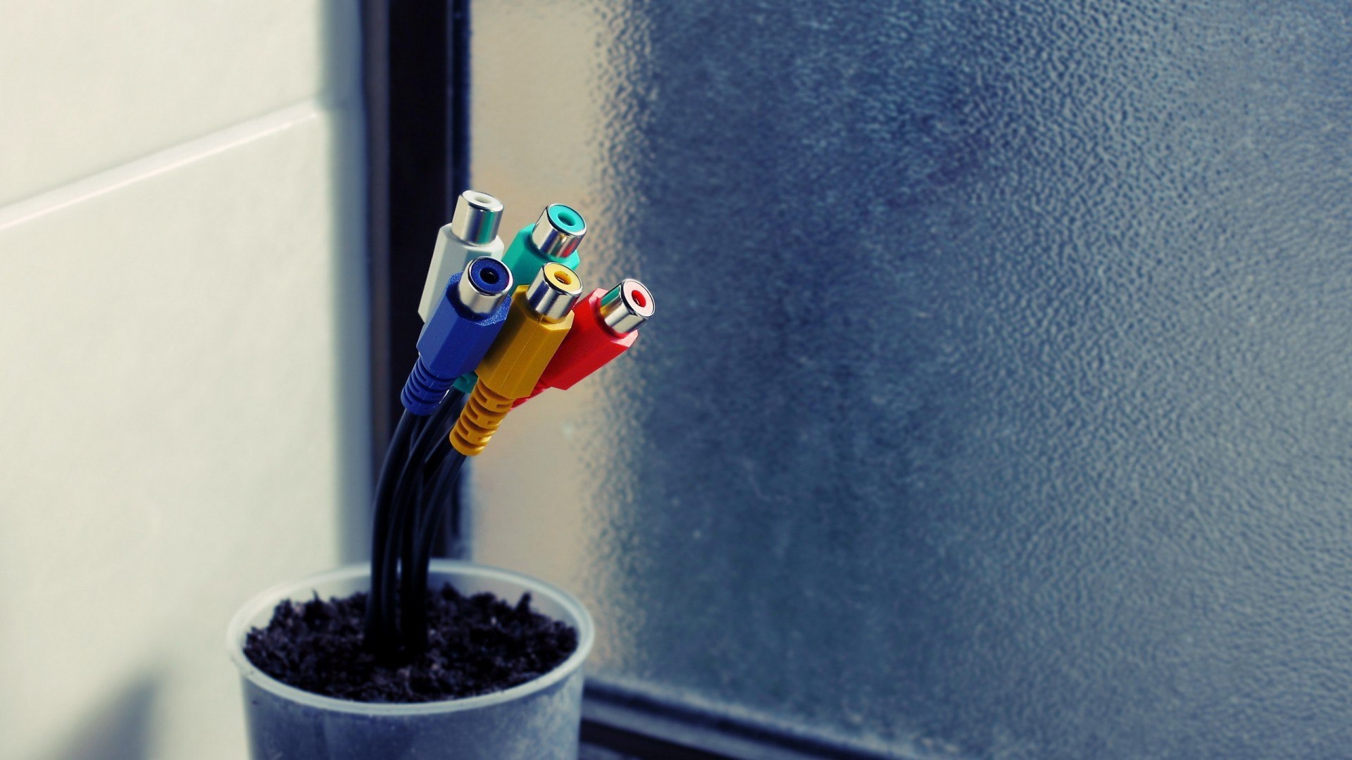 Тюльпаны в горшке