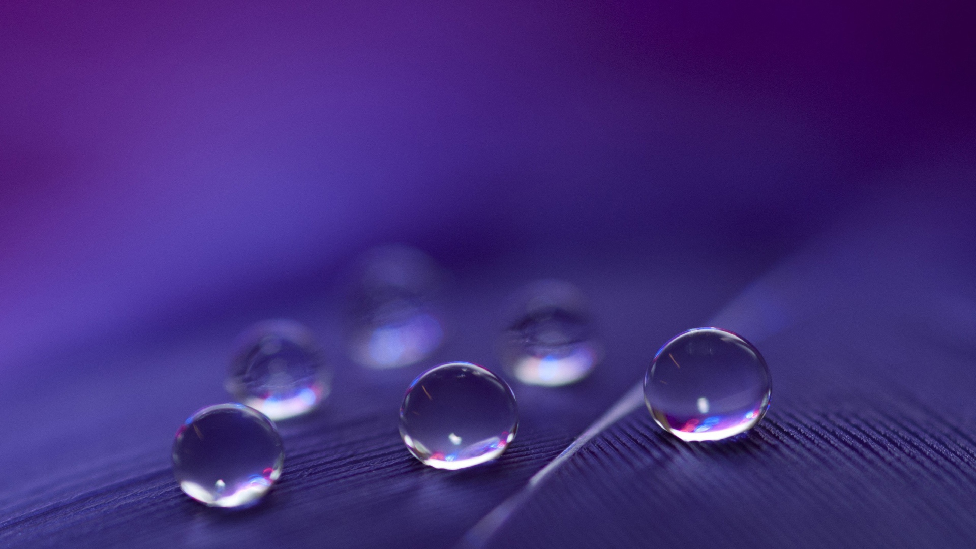 Капли воды расположились треугольником