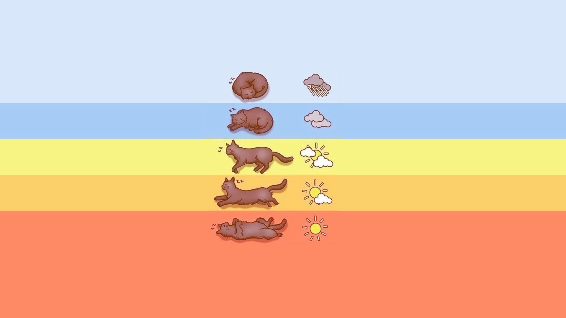 Прогноз погоды по коту