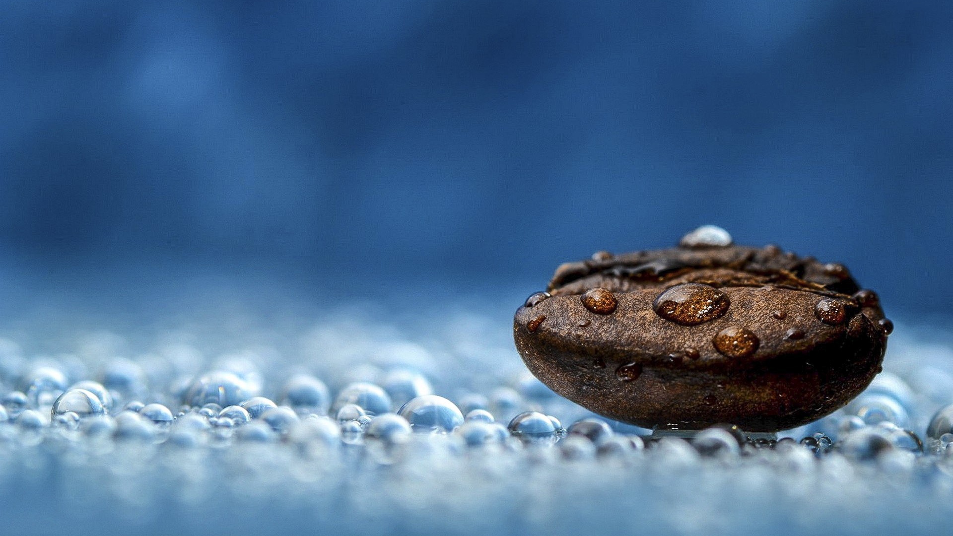 Мокрое зерно кофе