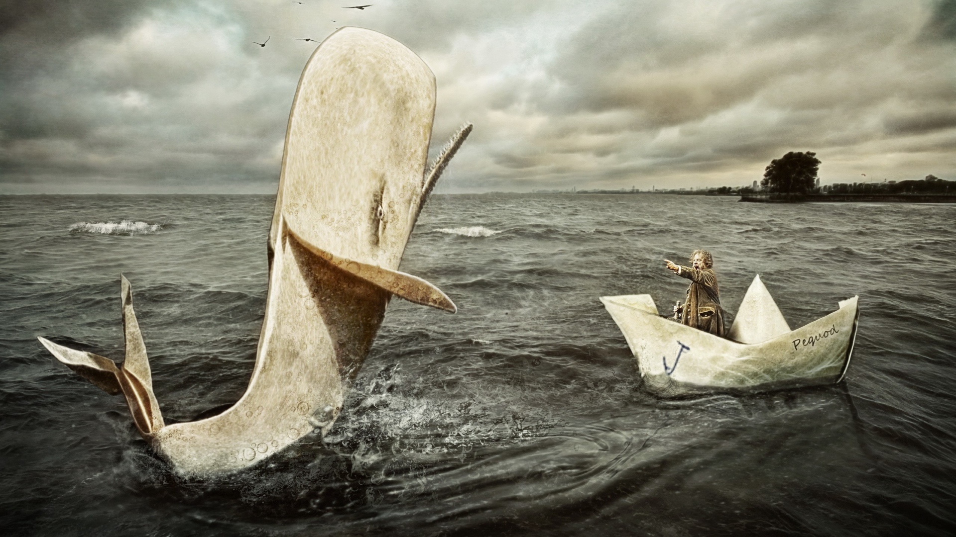 Мужчина в бумажном кораблике и касатка