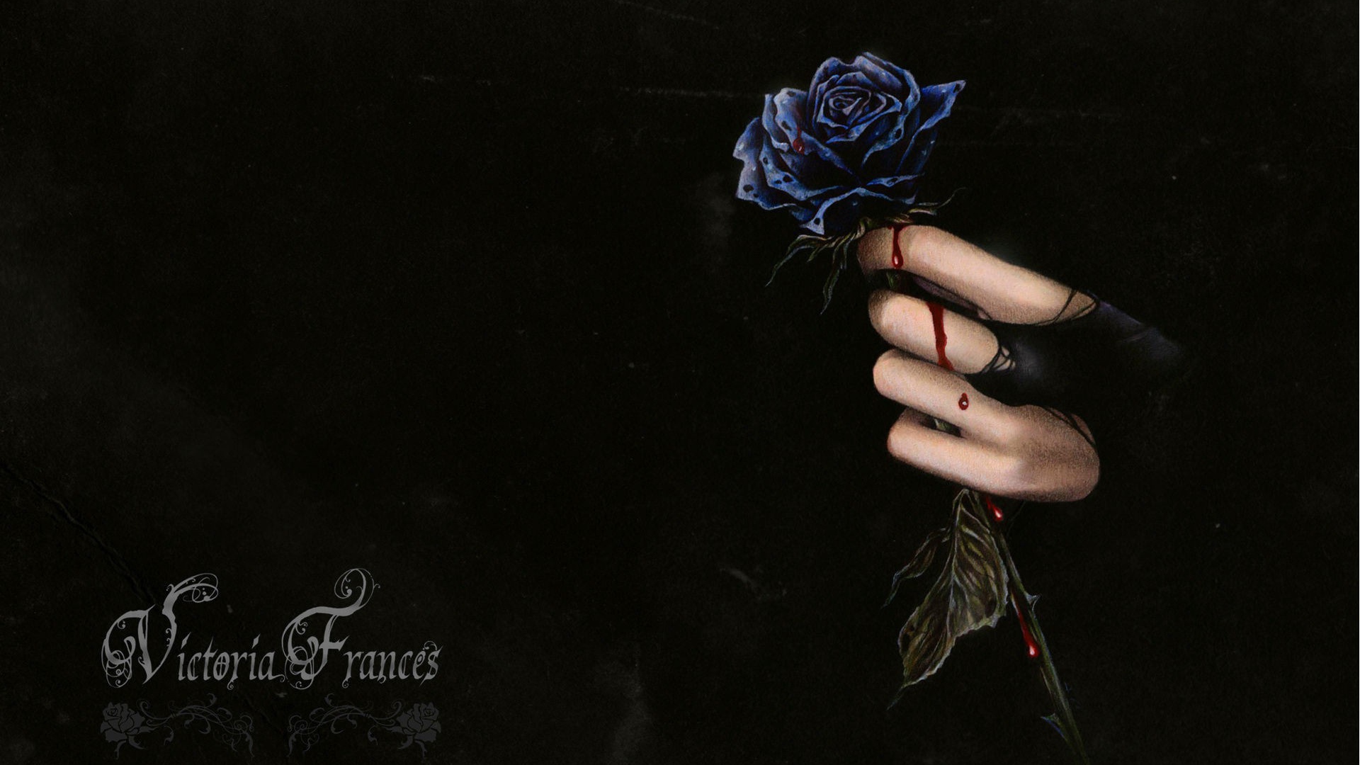 Капли крови на розе и руке