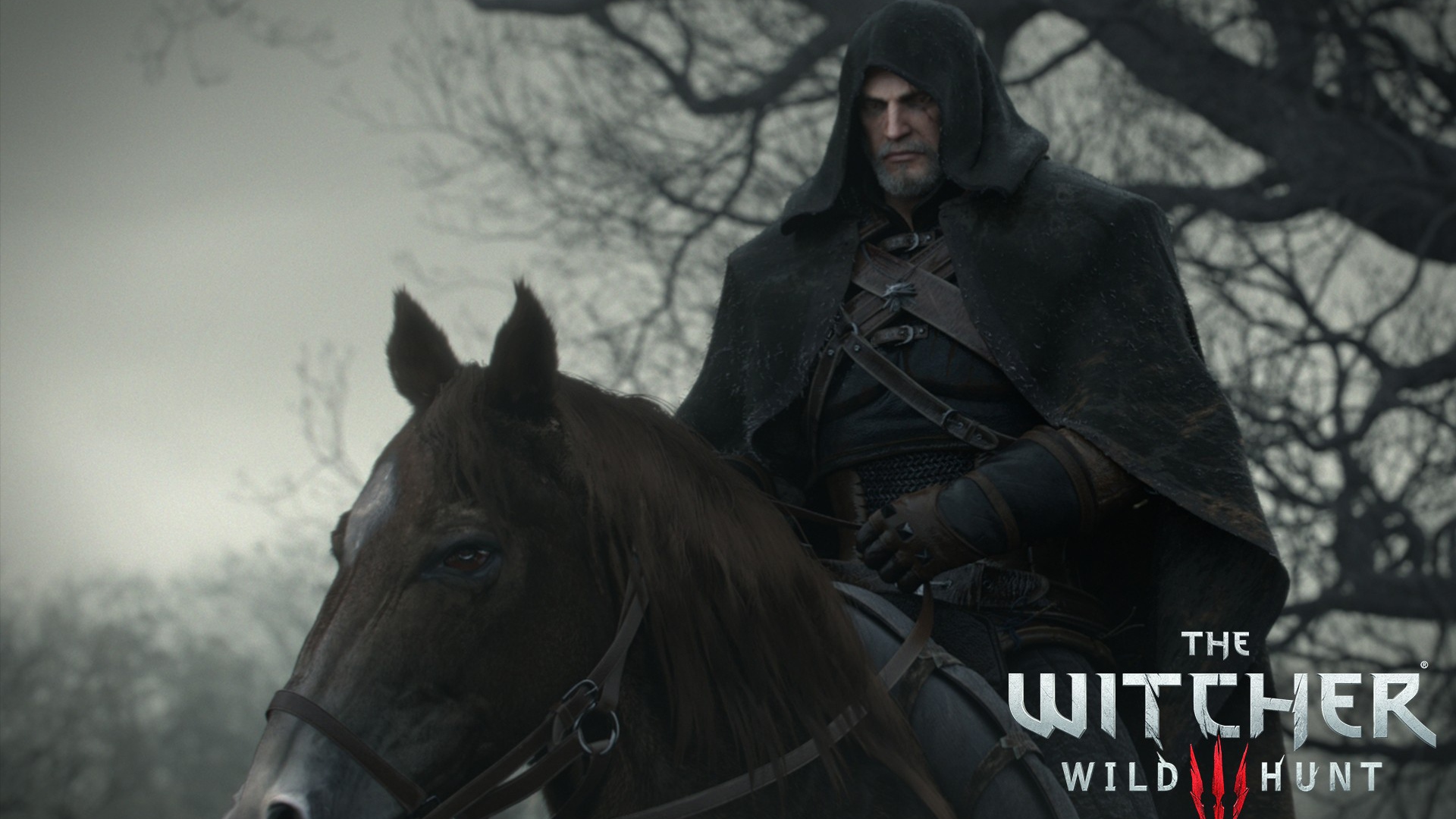 Черный всадник в игре The Witcher 3 Wild Hunt