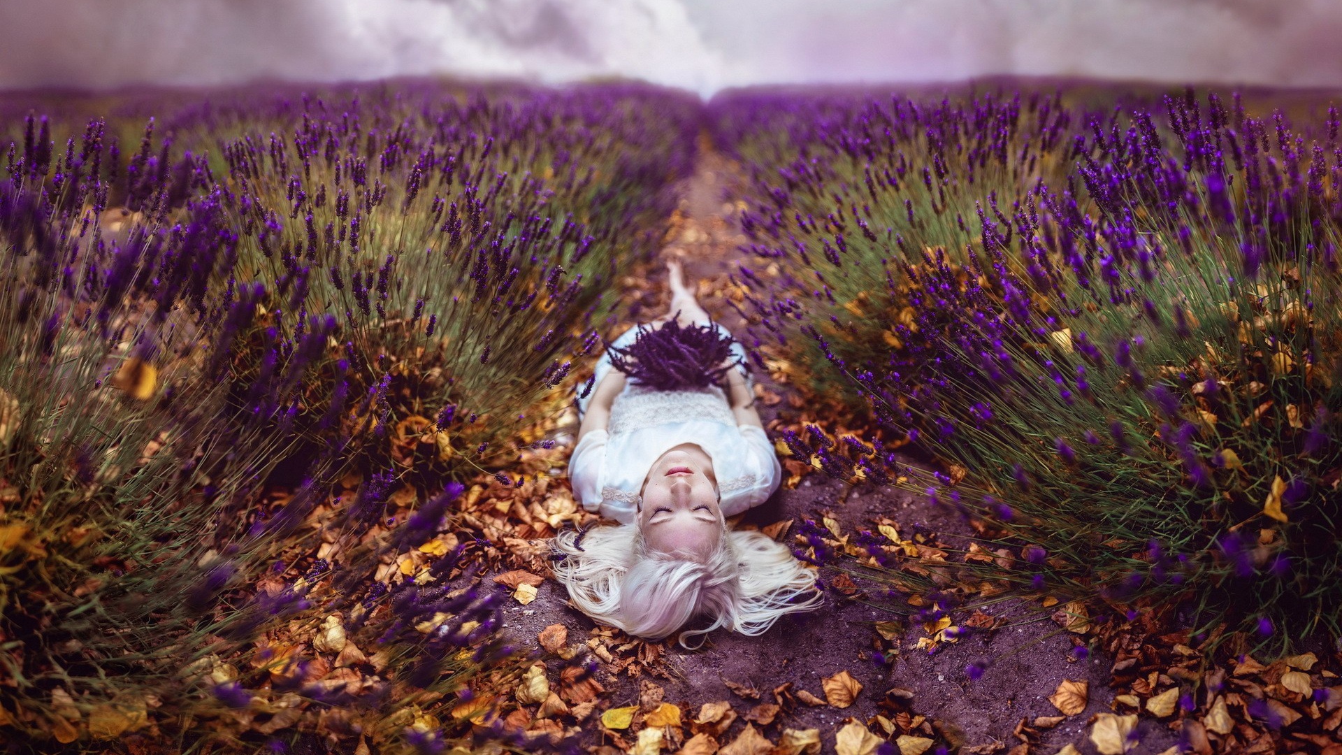 Блондинка лежит на тропе среди поля лаванды