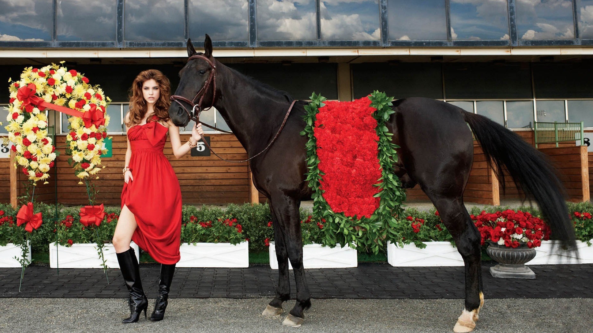 Девушка в красном платье с черной лошадью