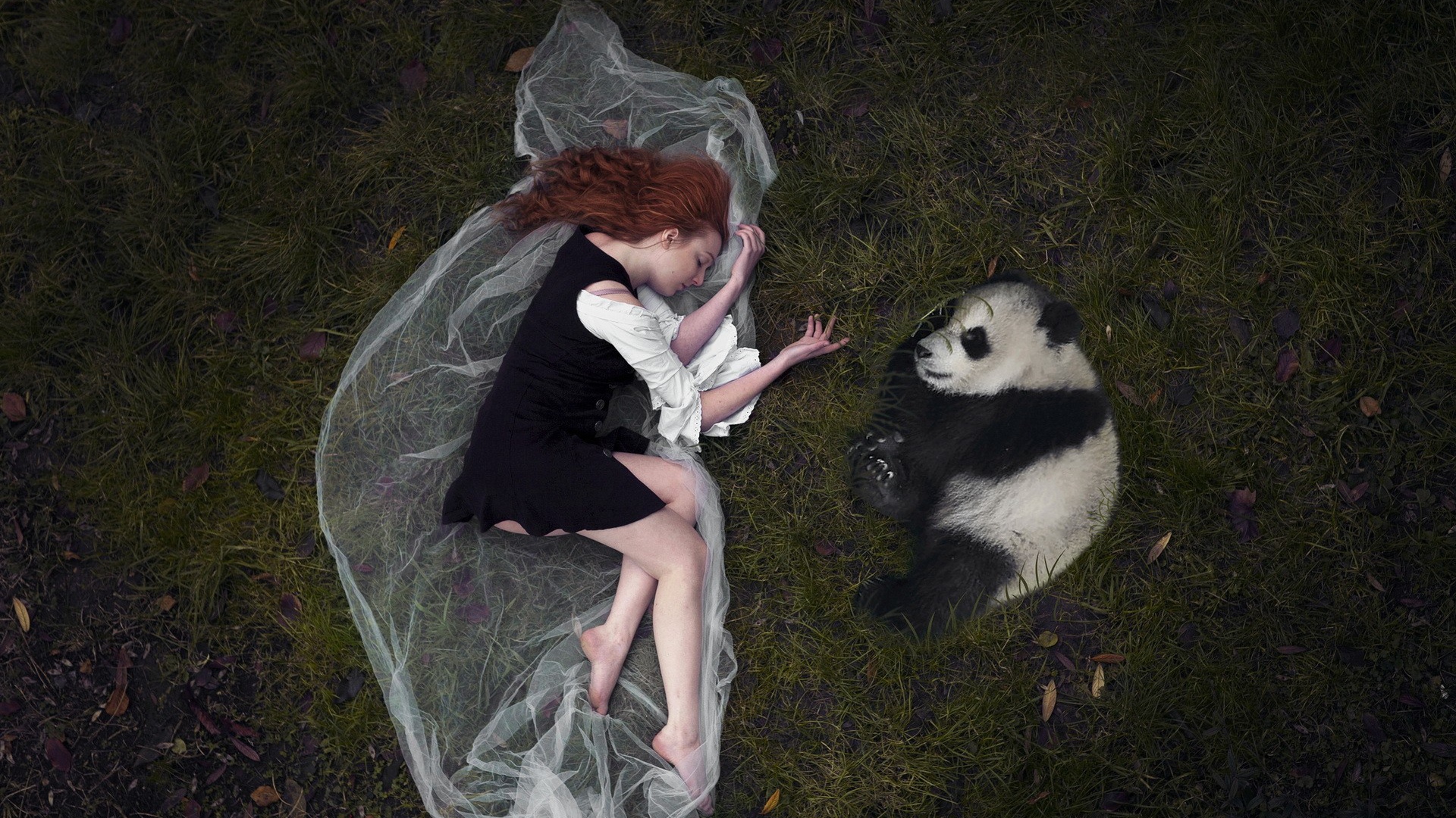 Девушка и панда лежат рядом на траве