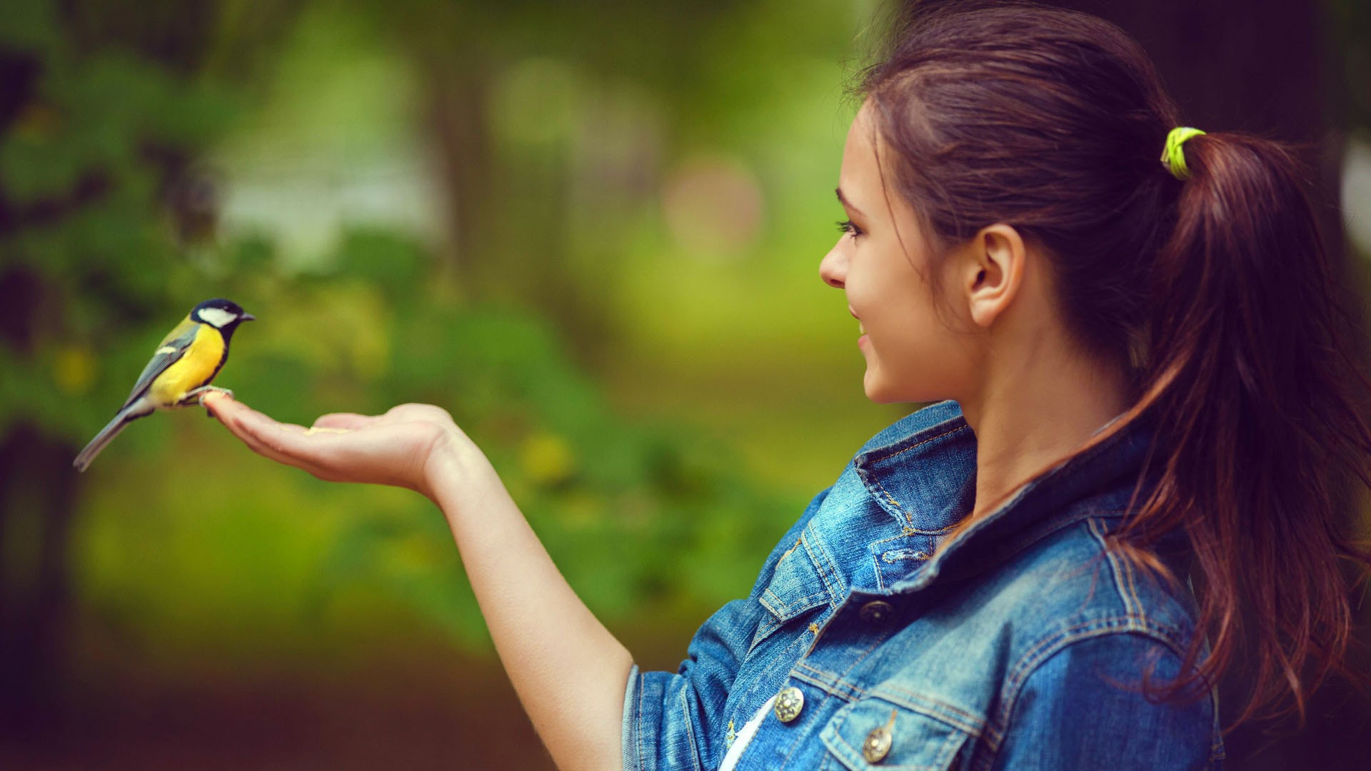 Синица сидит на руке у девушки