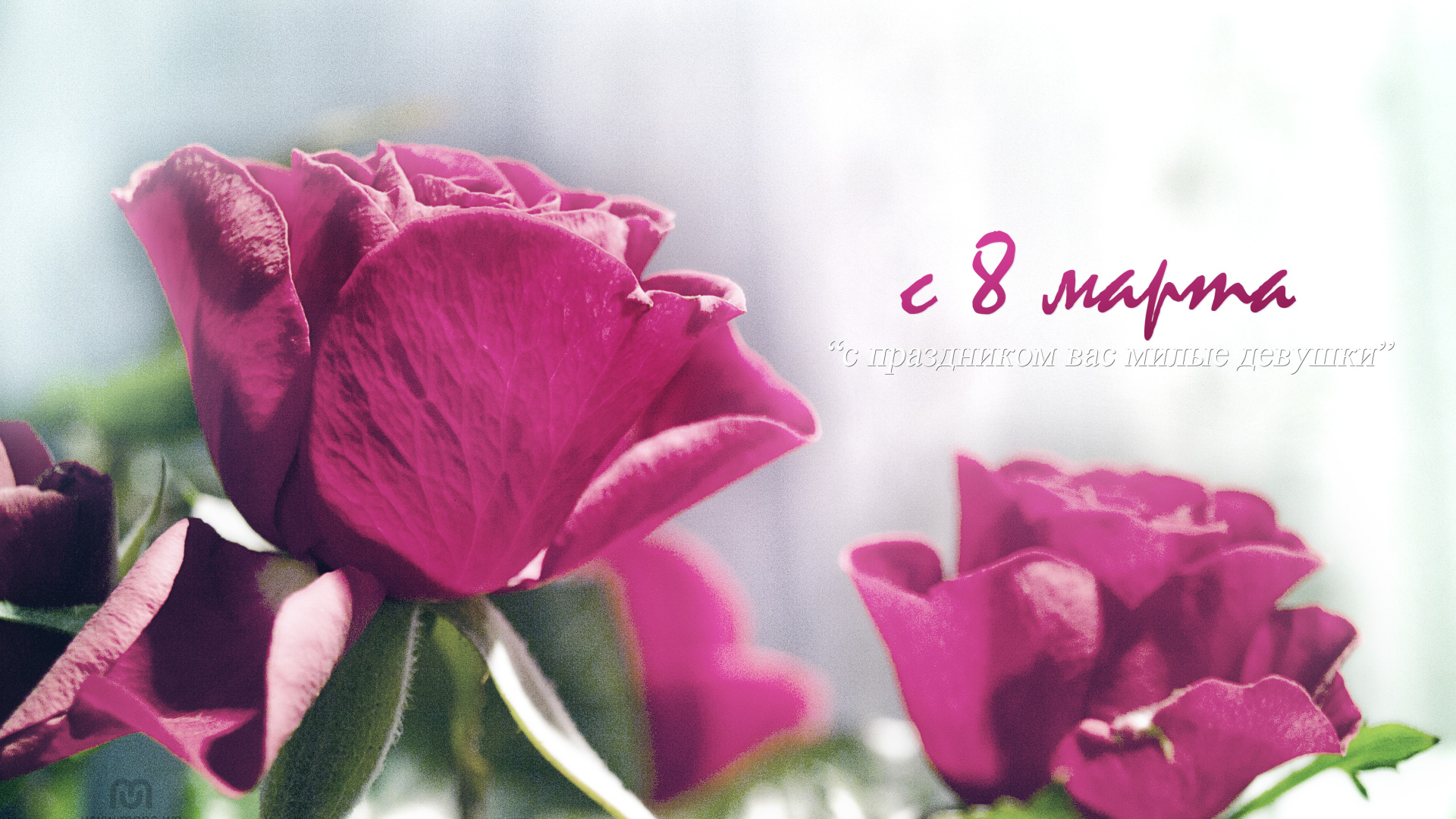 С праздником весны 8 марта, милые девушки