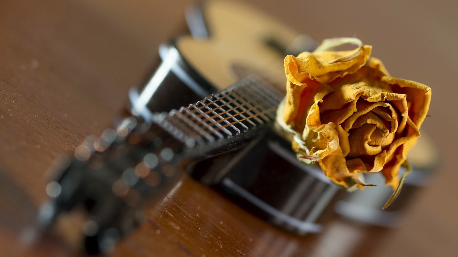 Желтая роза на гитаре
