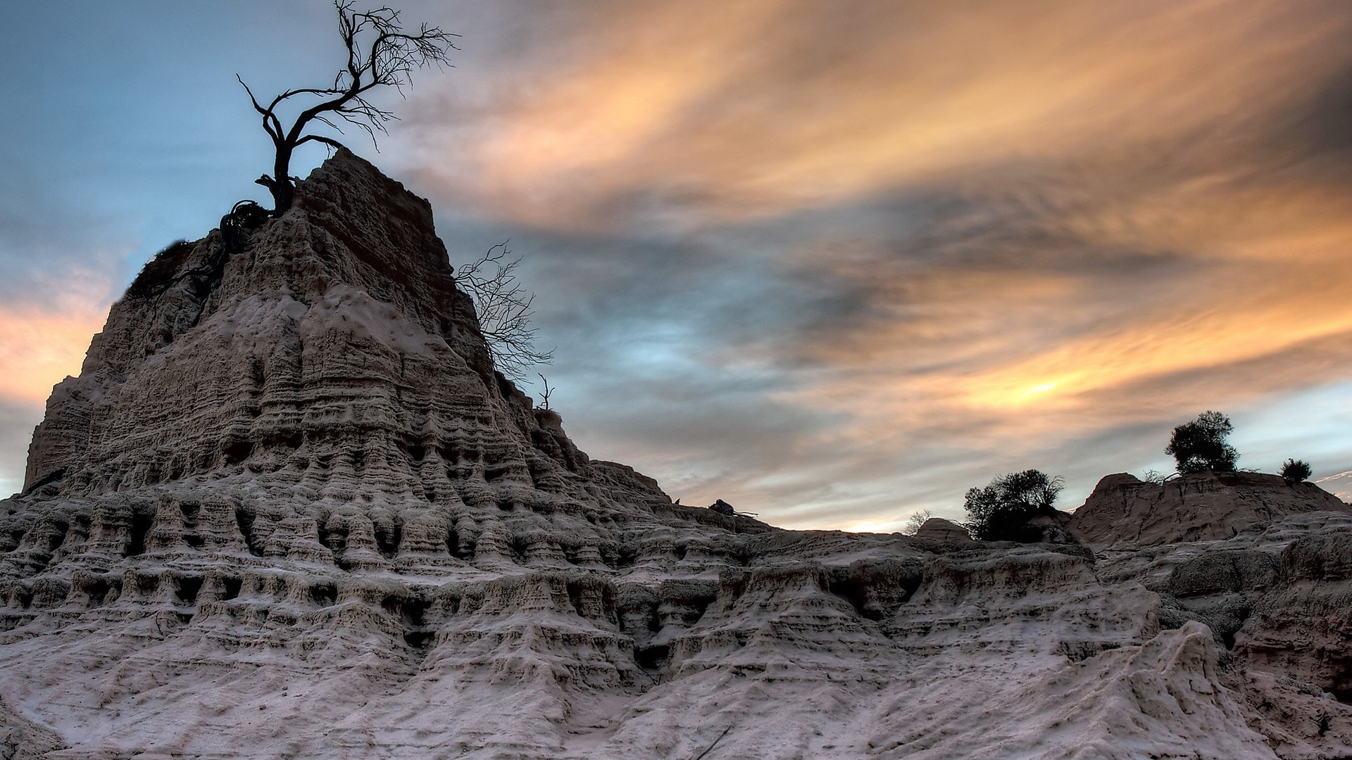 Засохшее дерево на вершине мертвой скалы