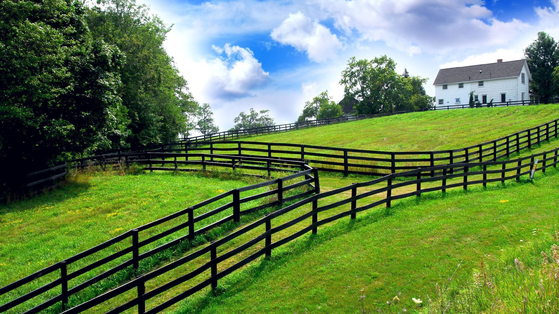 Заборы на границах участков