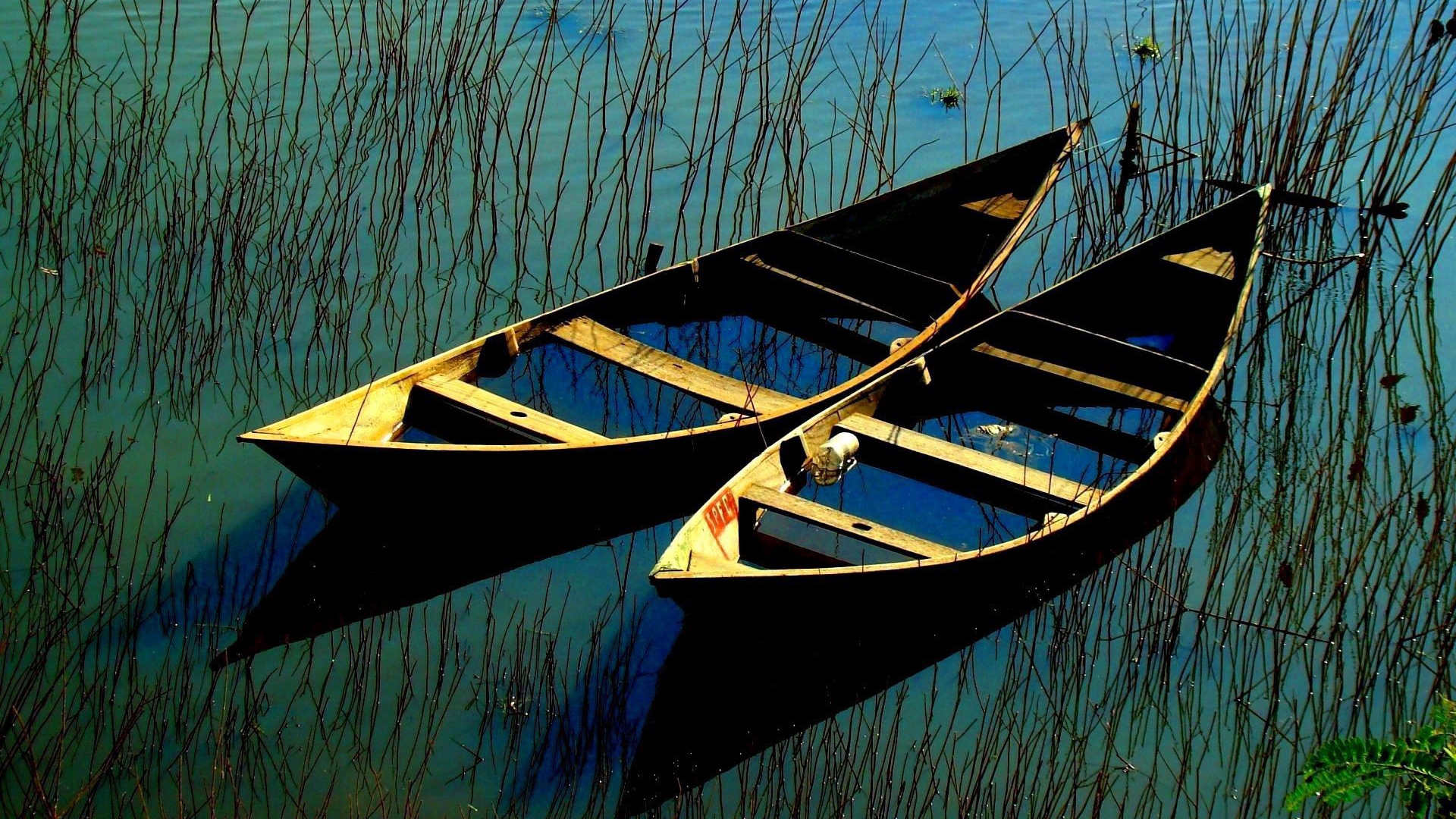 Затопленные лодки в зарослях