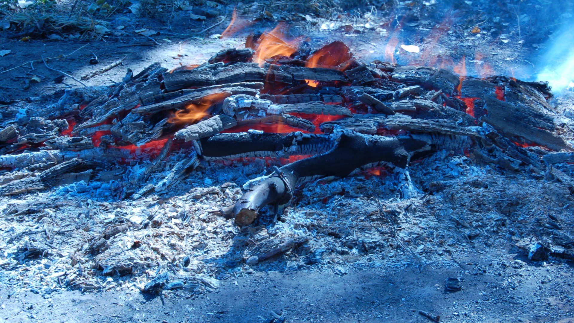 Сизые угли костра