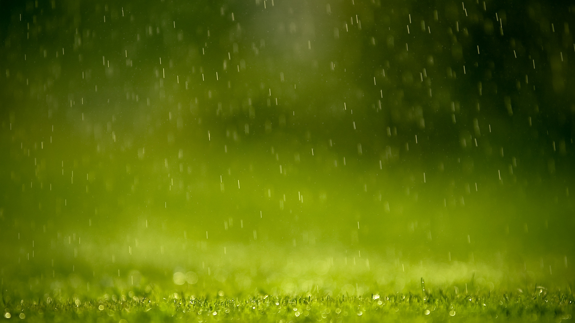 Зеленая трава под дождем, фон