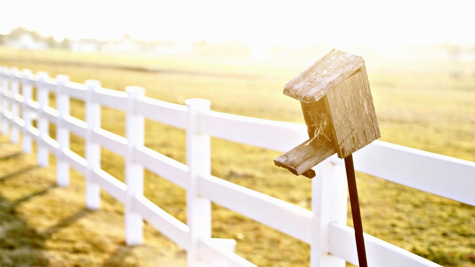 Домик для птиц у фермерского забора