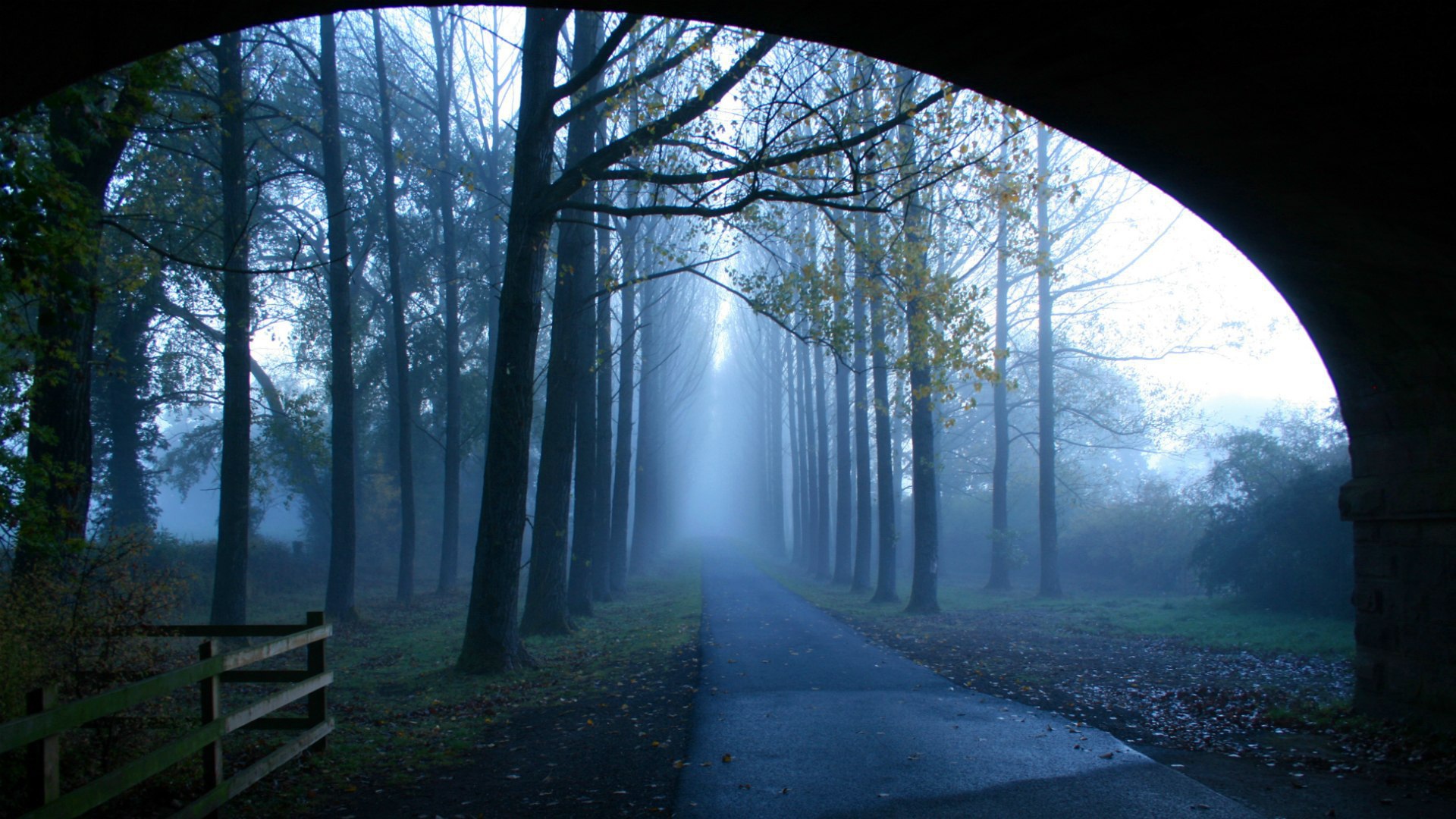 Туманная аллея у моста