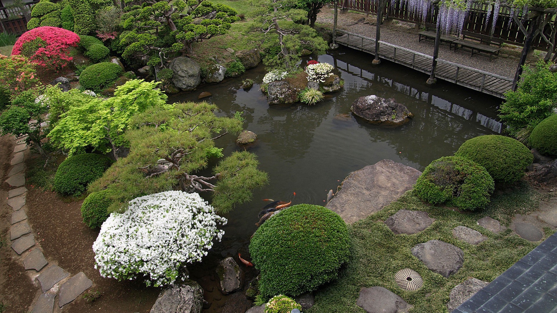 Пруд с растениями в саду