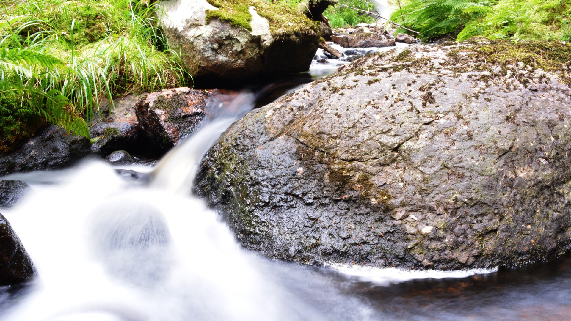 Ручей среди покрытых мхом камней
