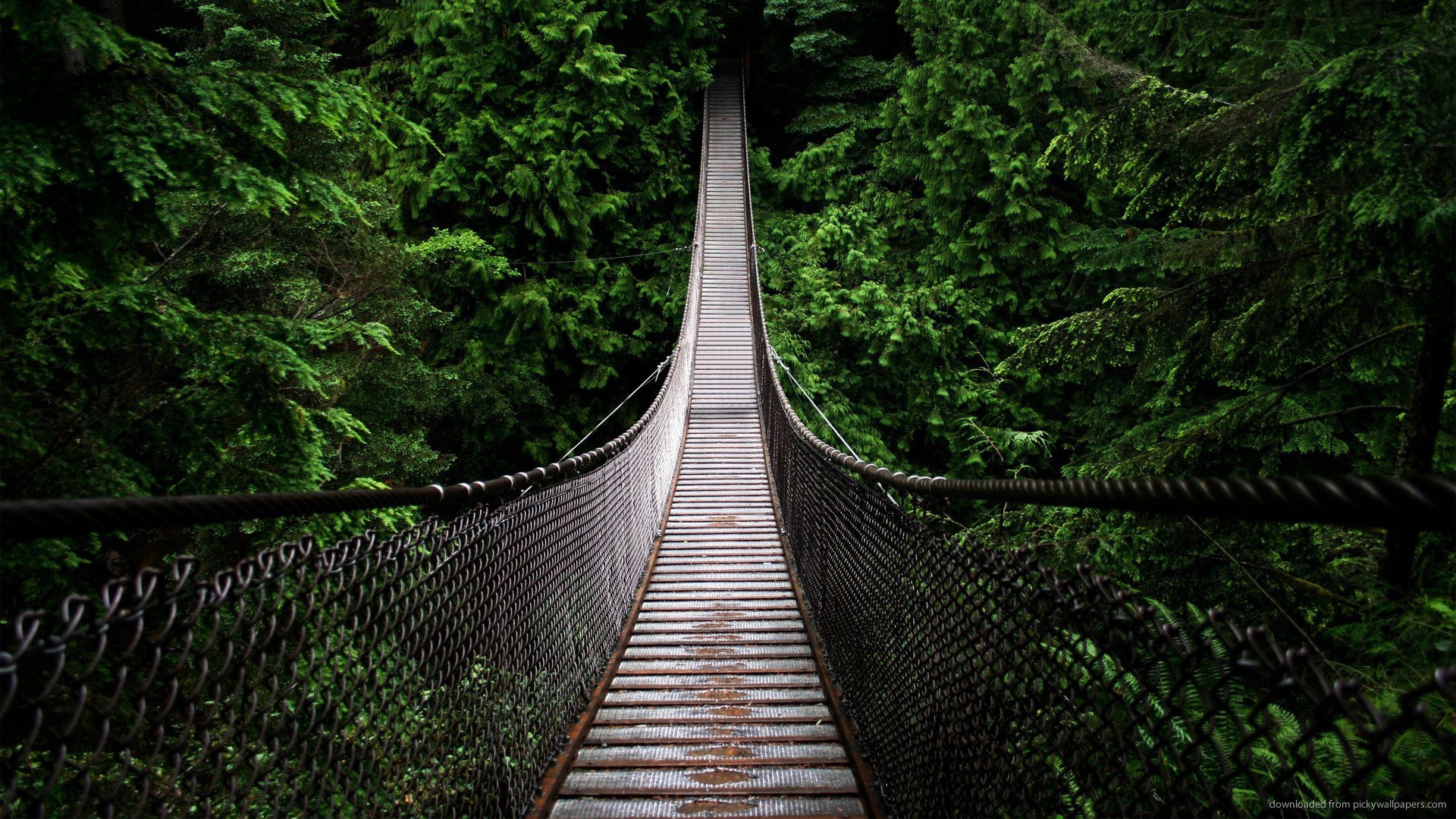 Подвесной мост на канатах