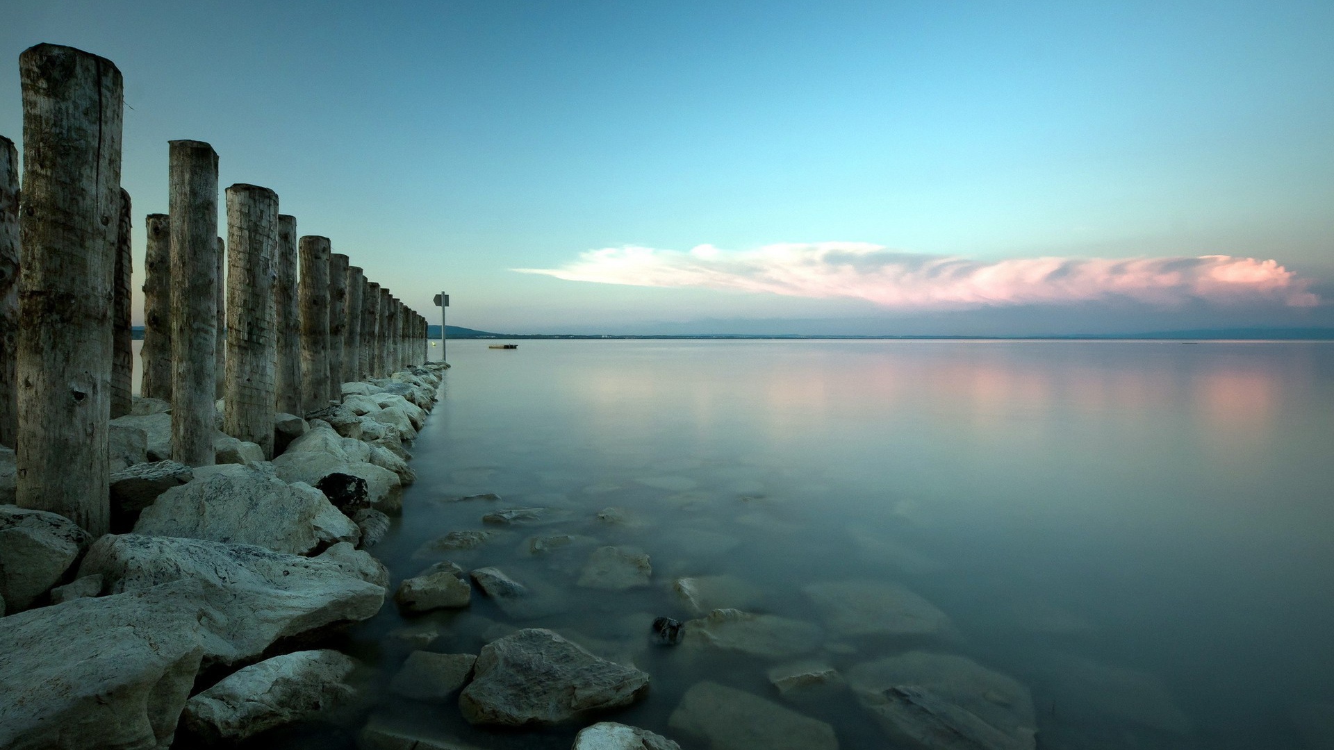 Деревянные сваи от пирса