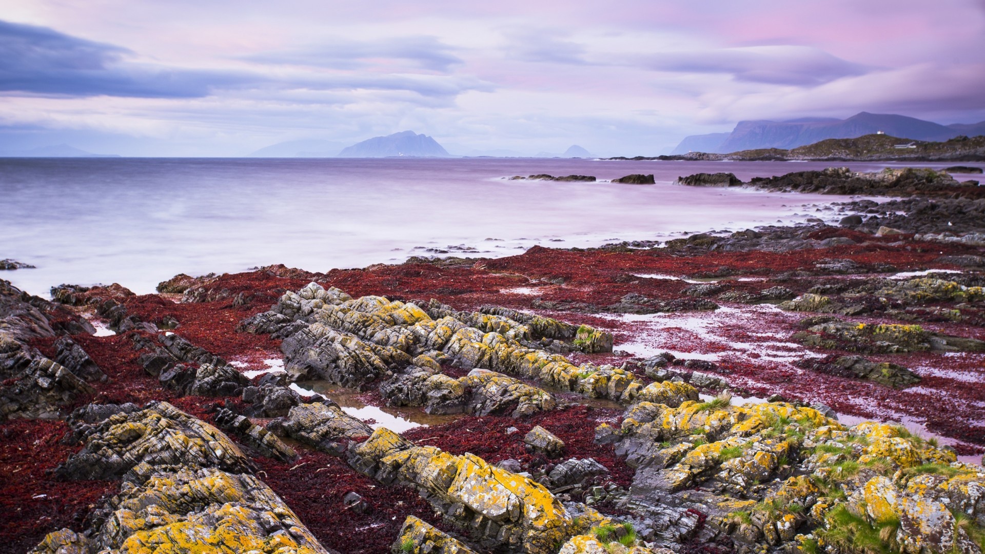 Желтые камни на берегу моря