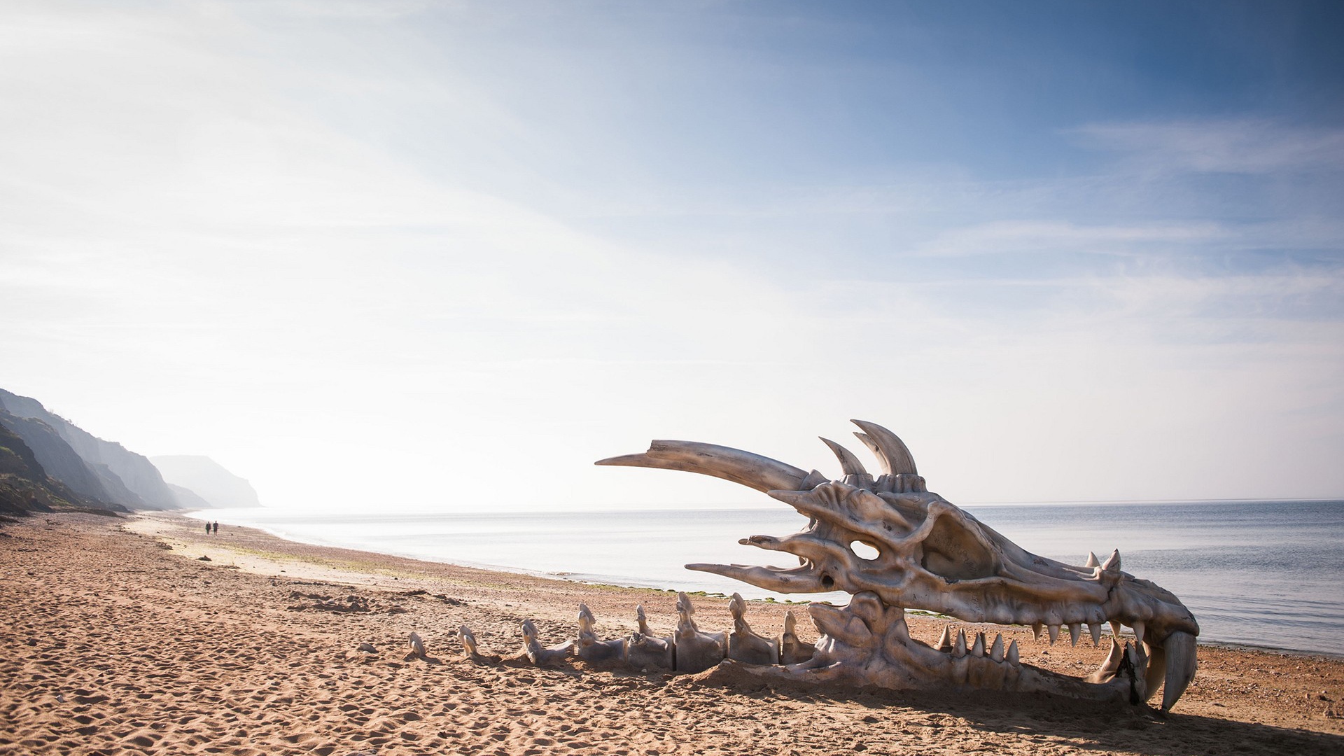 Череп дракона на пляже