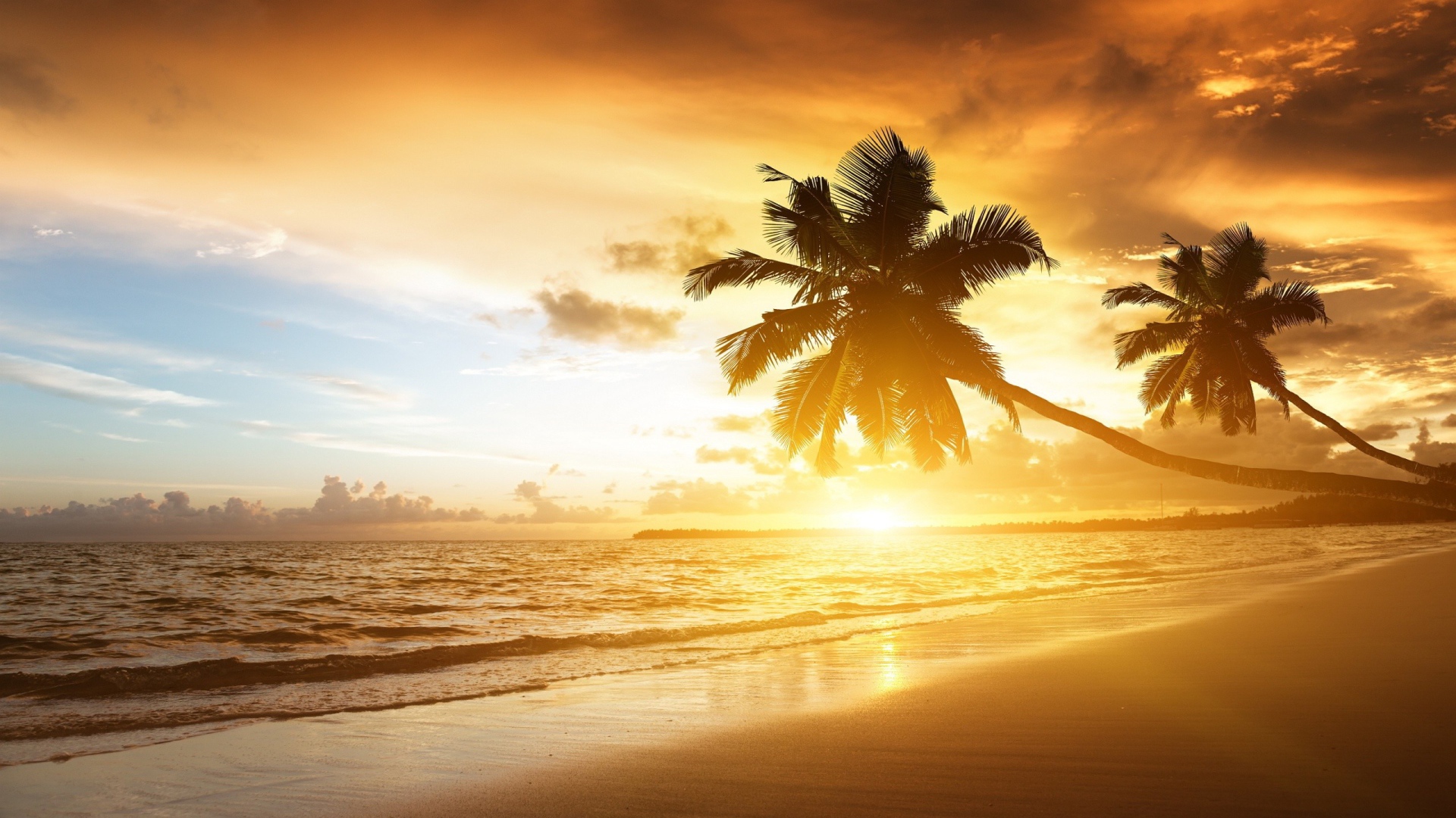 Пальмы на пляже в жаркий вечер