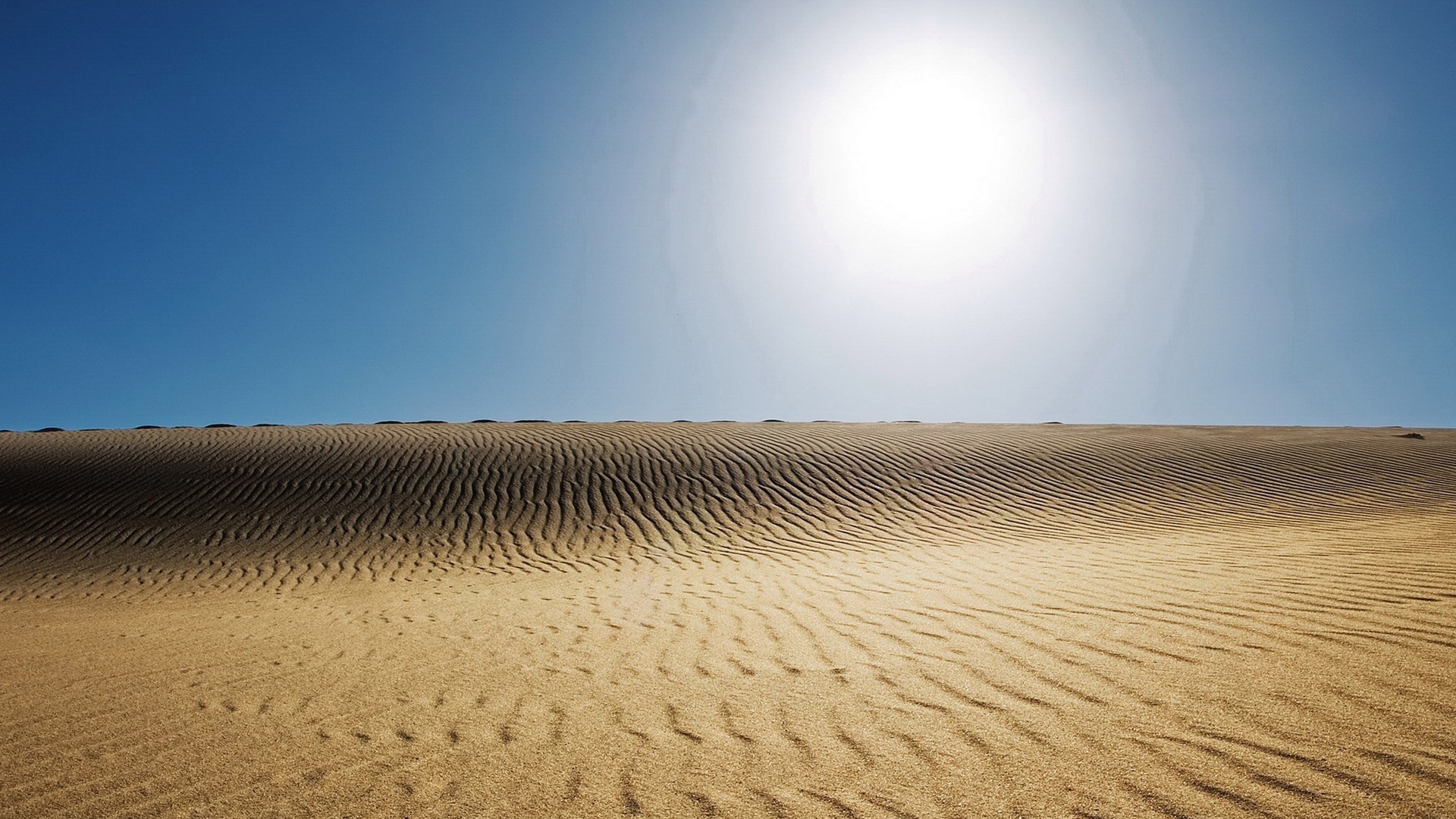 Бескрайняя мертвая пустыня