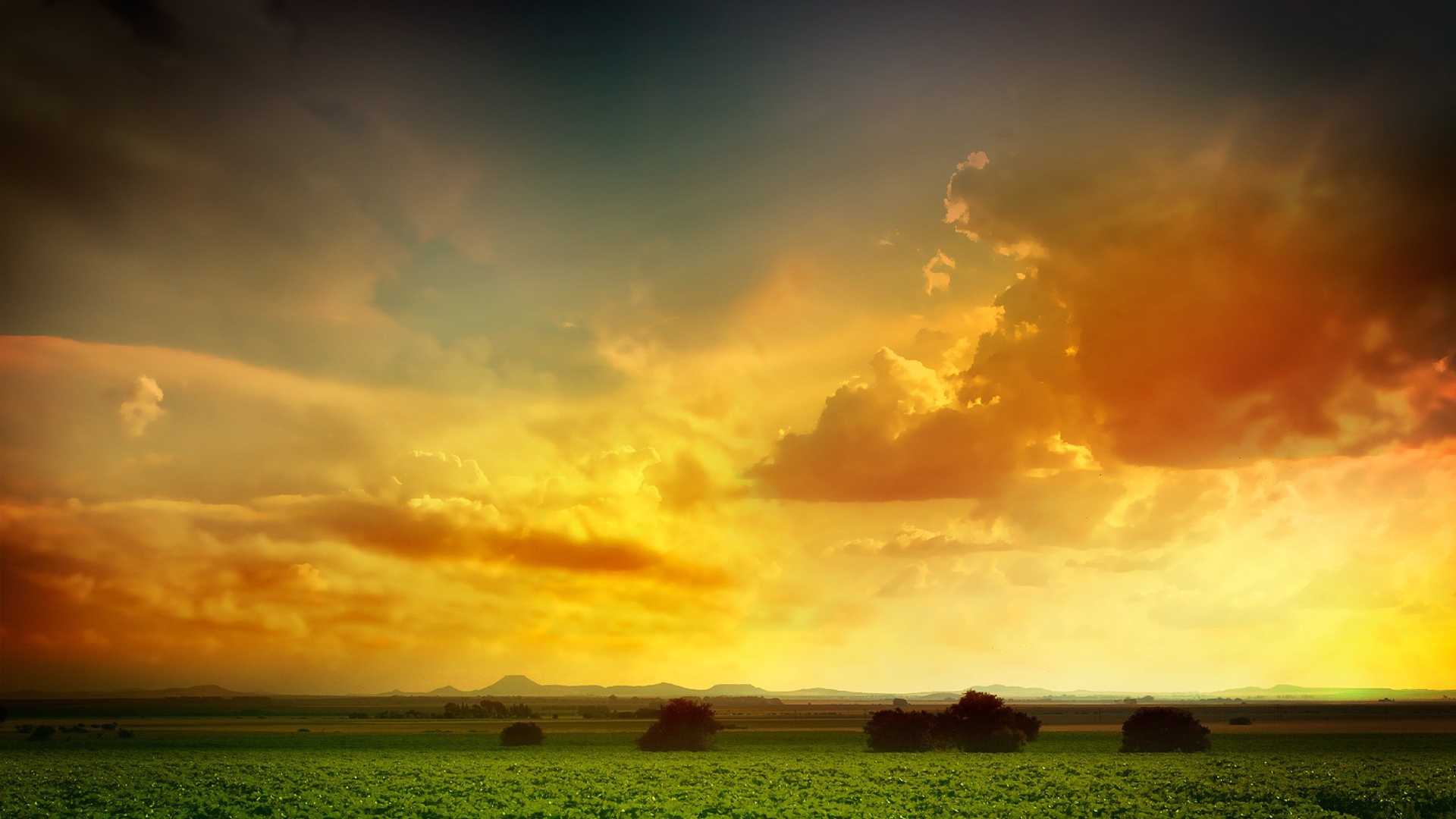 Оранжевое небо над зеленым полем