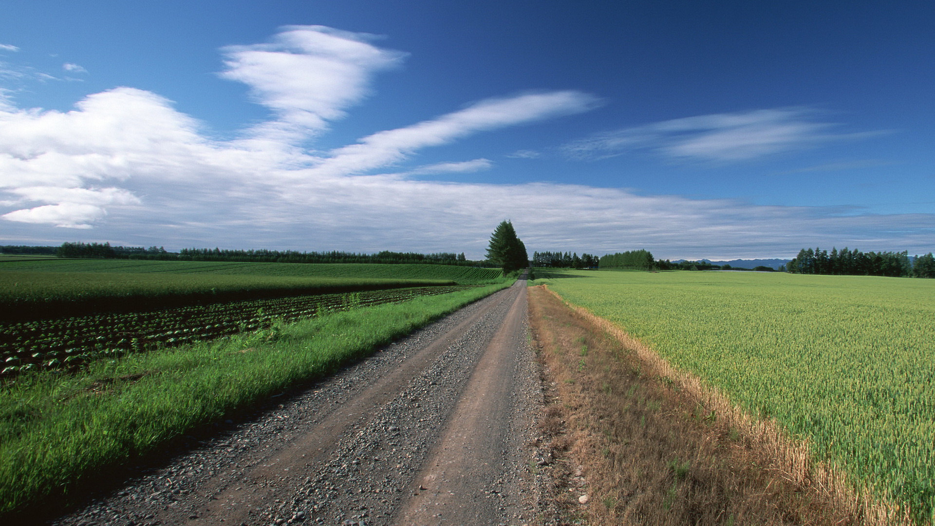 Прямая грунтовая дорога
