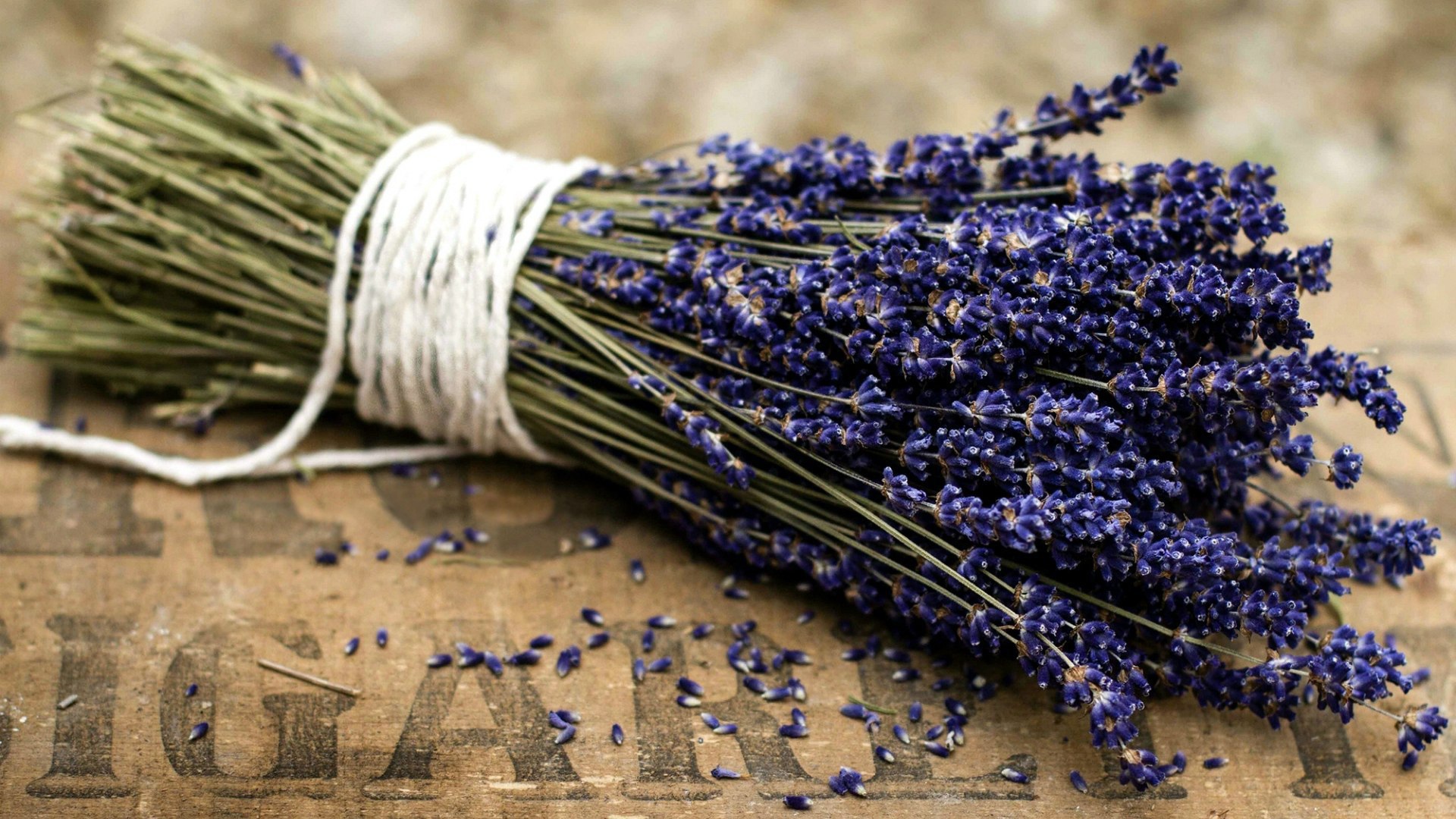 Букет цветов лаванды