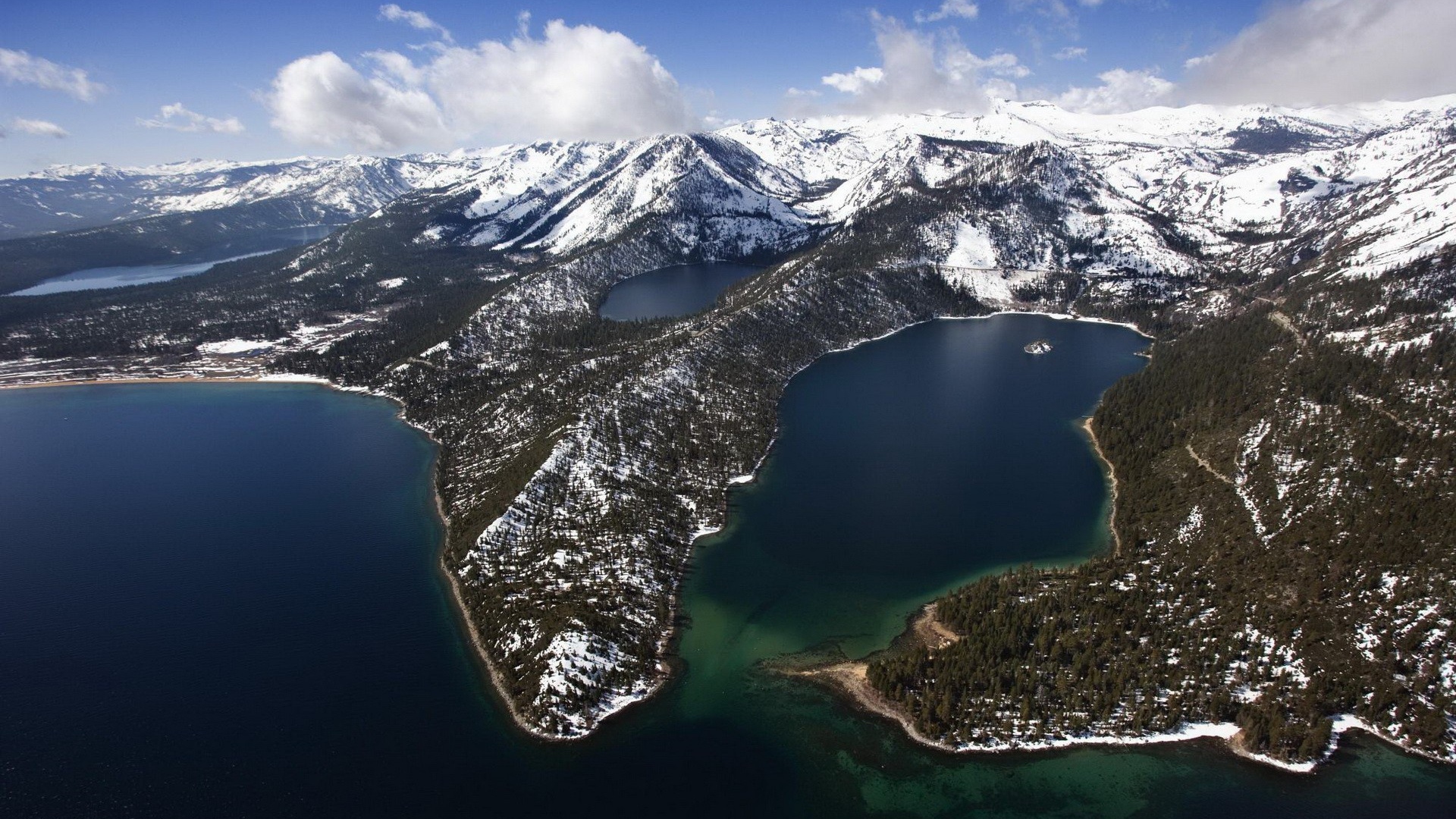 Густой заснеженный лес в горах, спускающихся к морю
