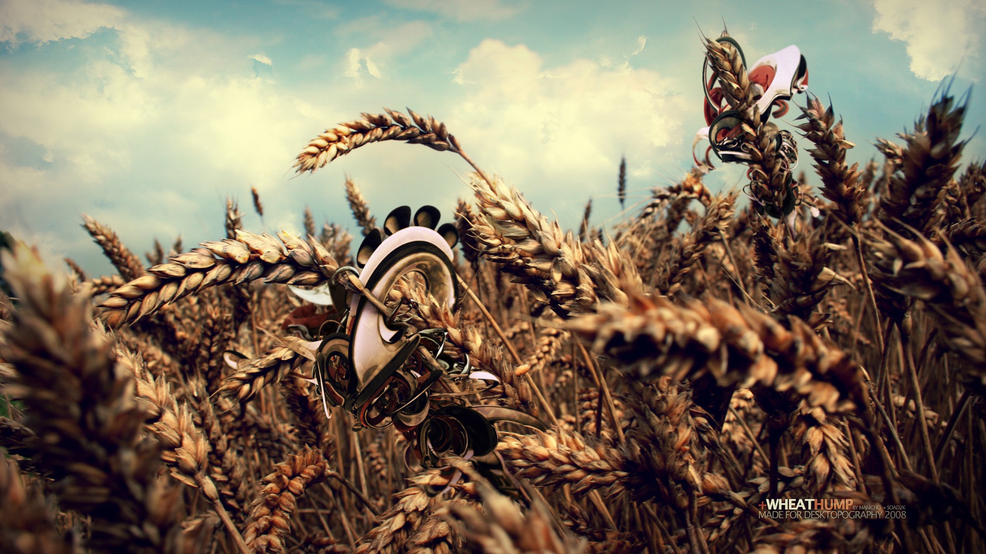 Робот в пшеничном поле