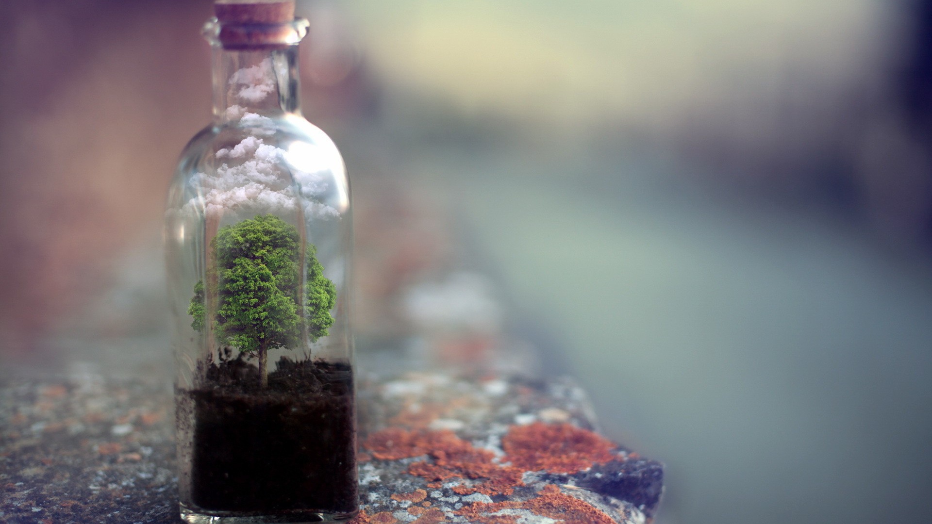 Дерево растет в стеклянной бутылке