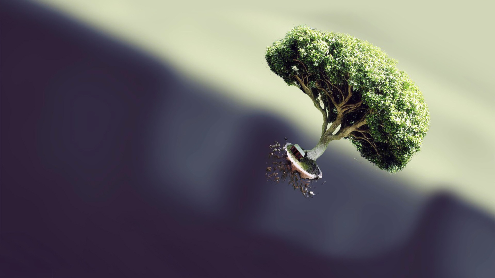 Летающее дерево на темном фоне