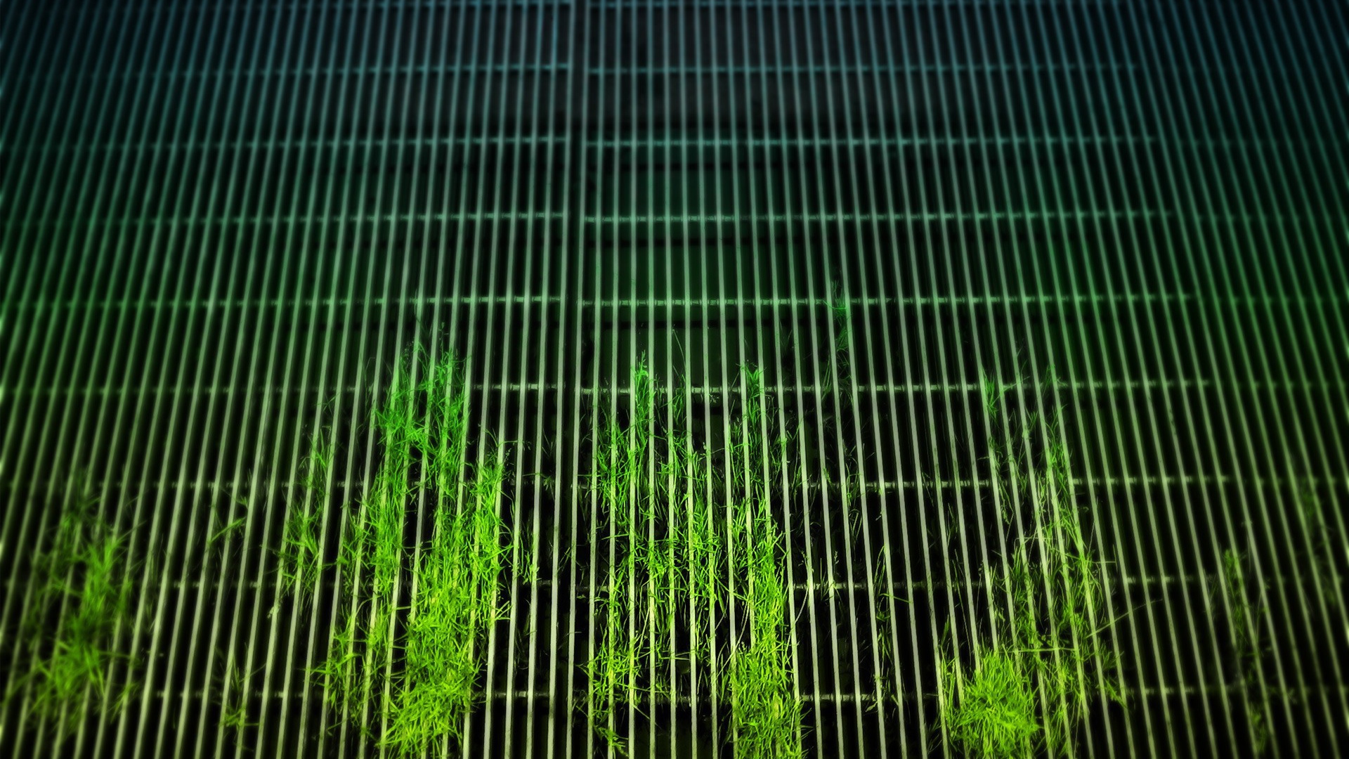 Растения пробиваются сквозь решетку