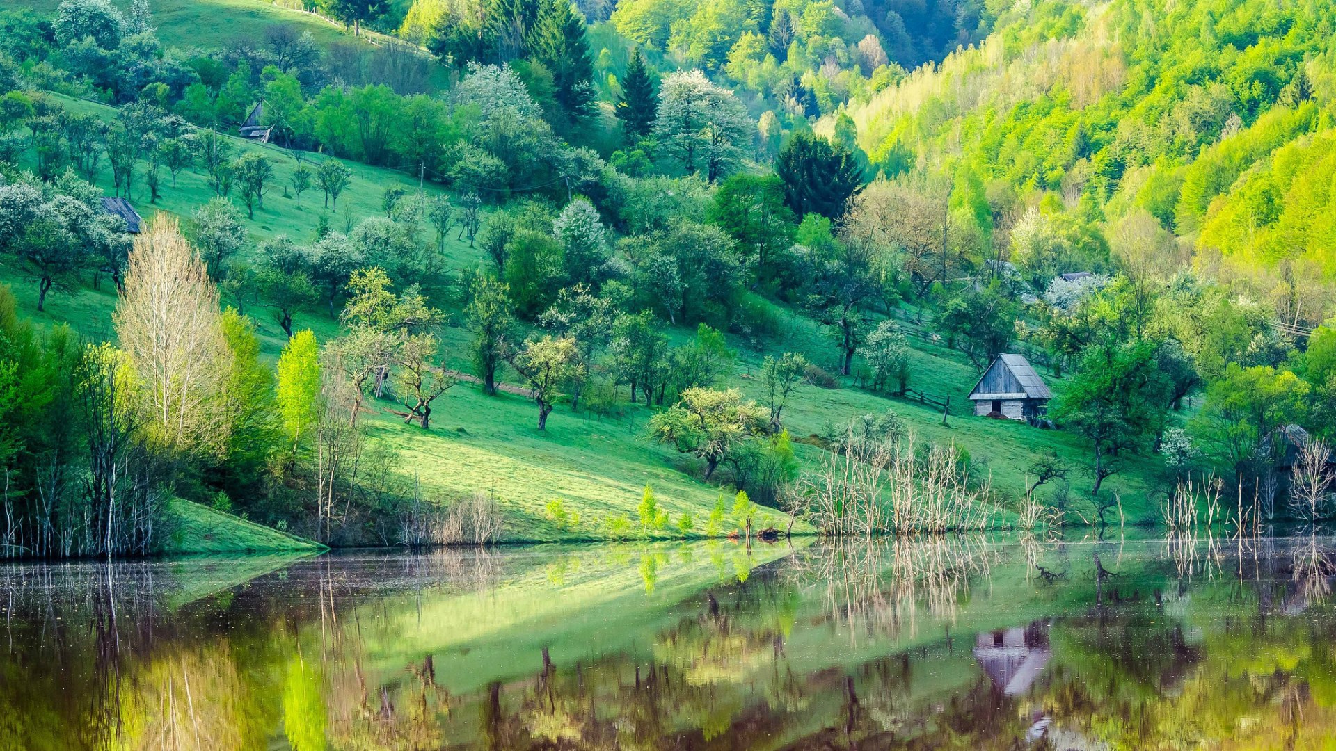 Зеленые склоны гор у озера