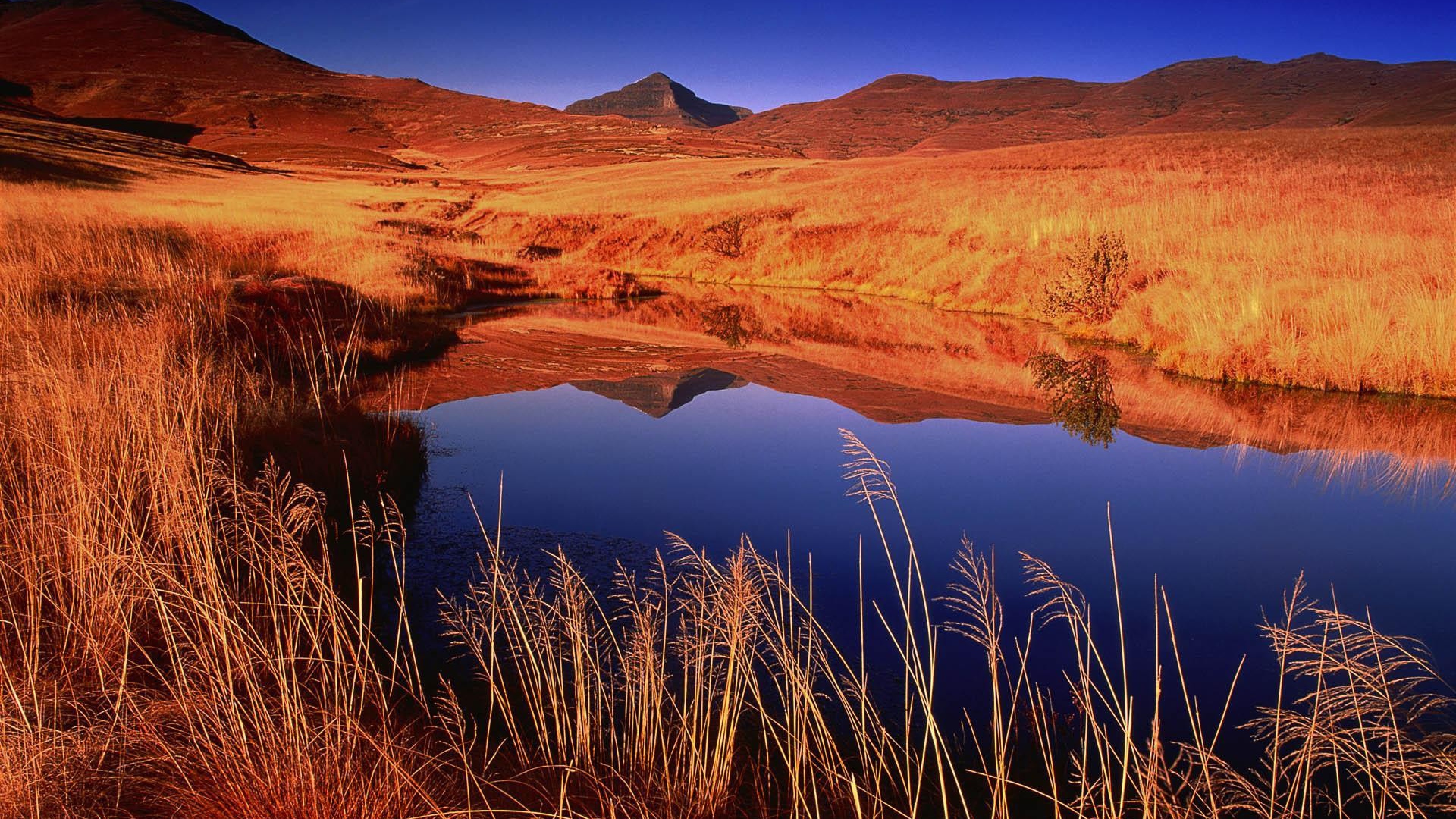 Озерцо с дождевой водой