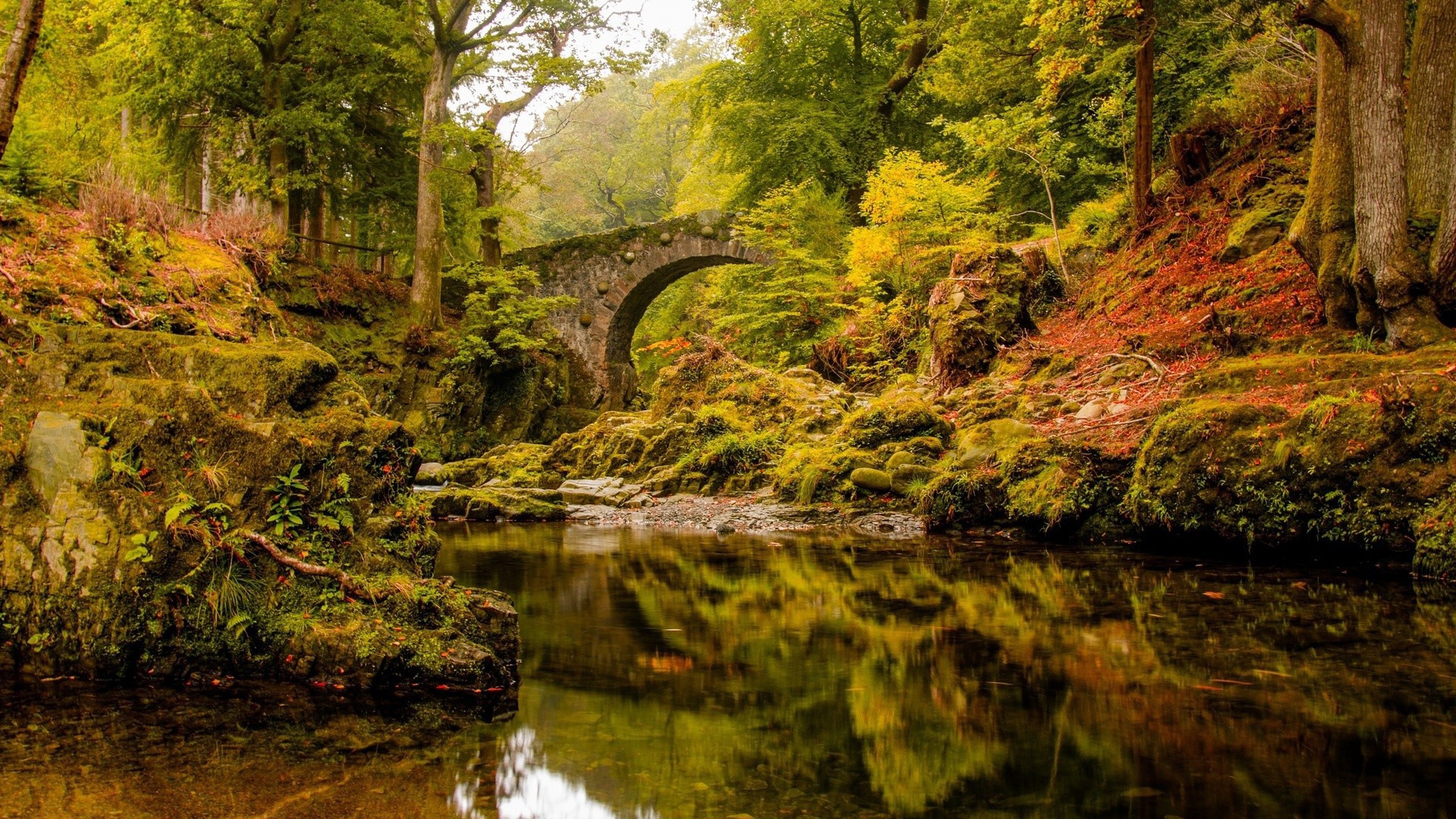Старинный каменный мост над спокойной рекой в лесу