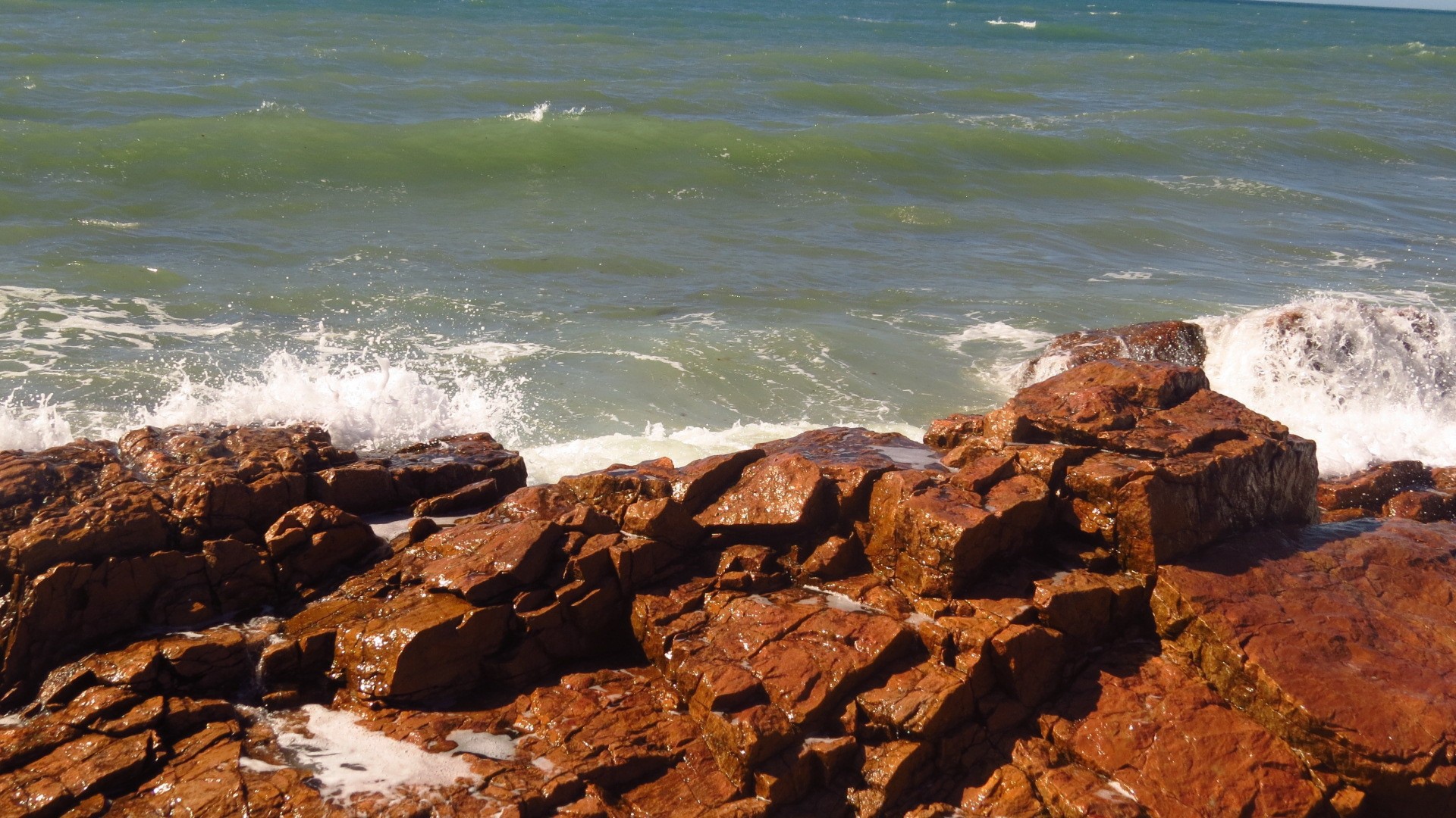 Коричневые камни на берегу моря