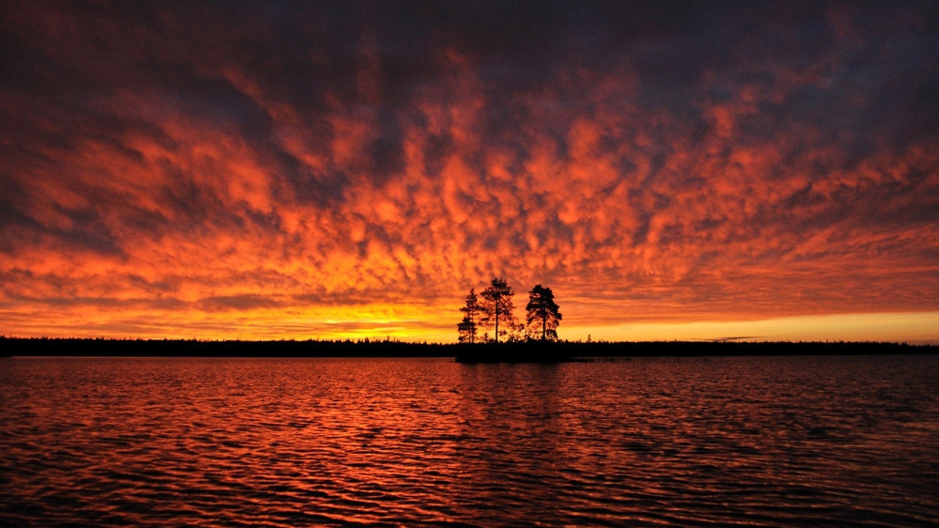 Силуэты деревьев на острове под горящим небом