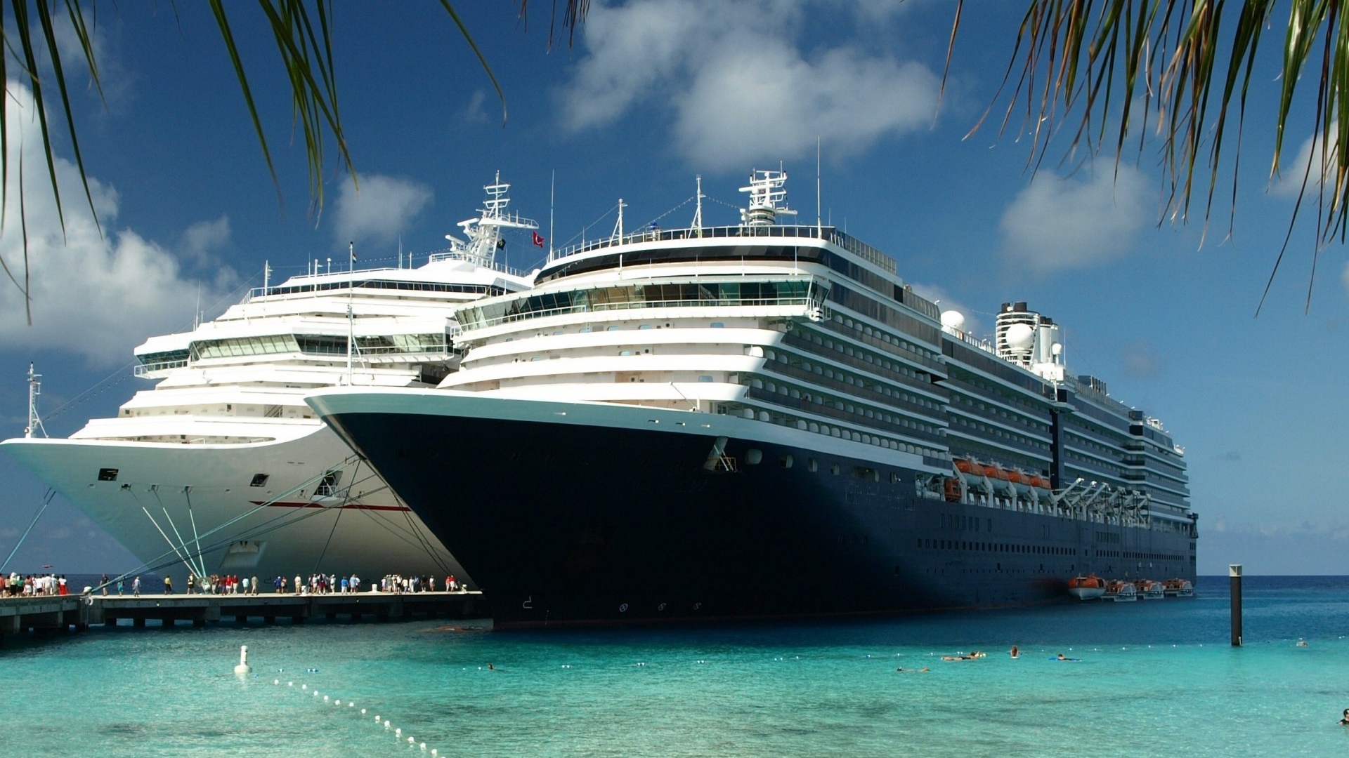 Белый и черный лайнеры в тропиках