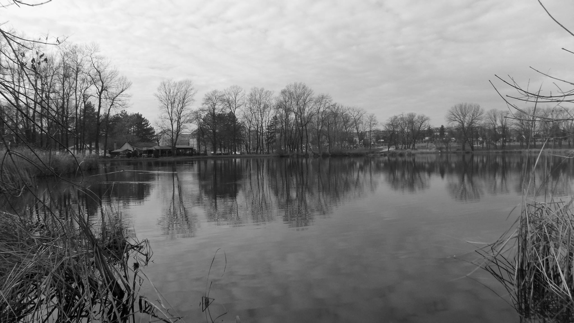 Черно белое фото озера в Сербии