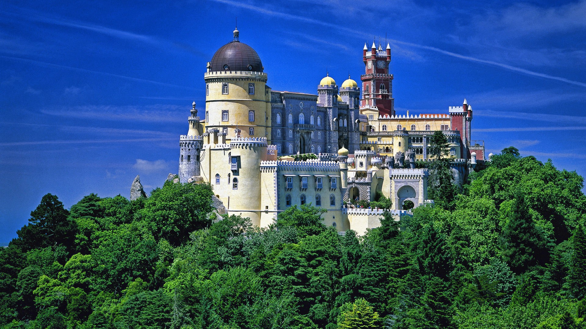 Fairy-tale castle on a hill among the trees