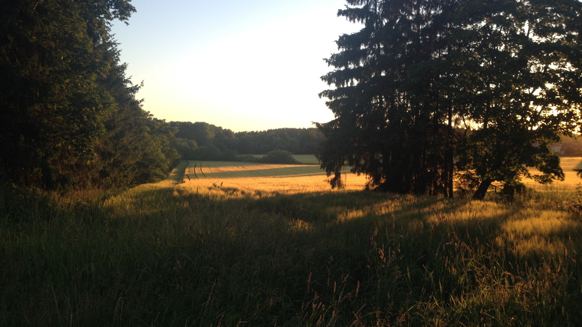 Летний пейзаж в Финляндии