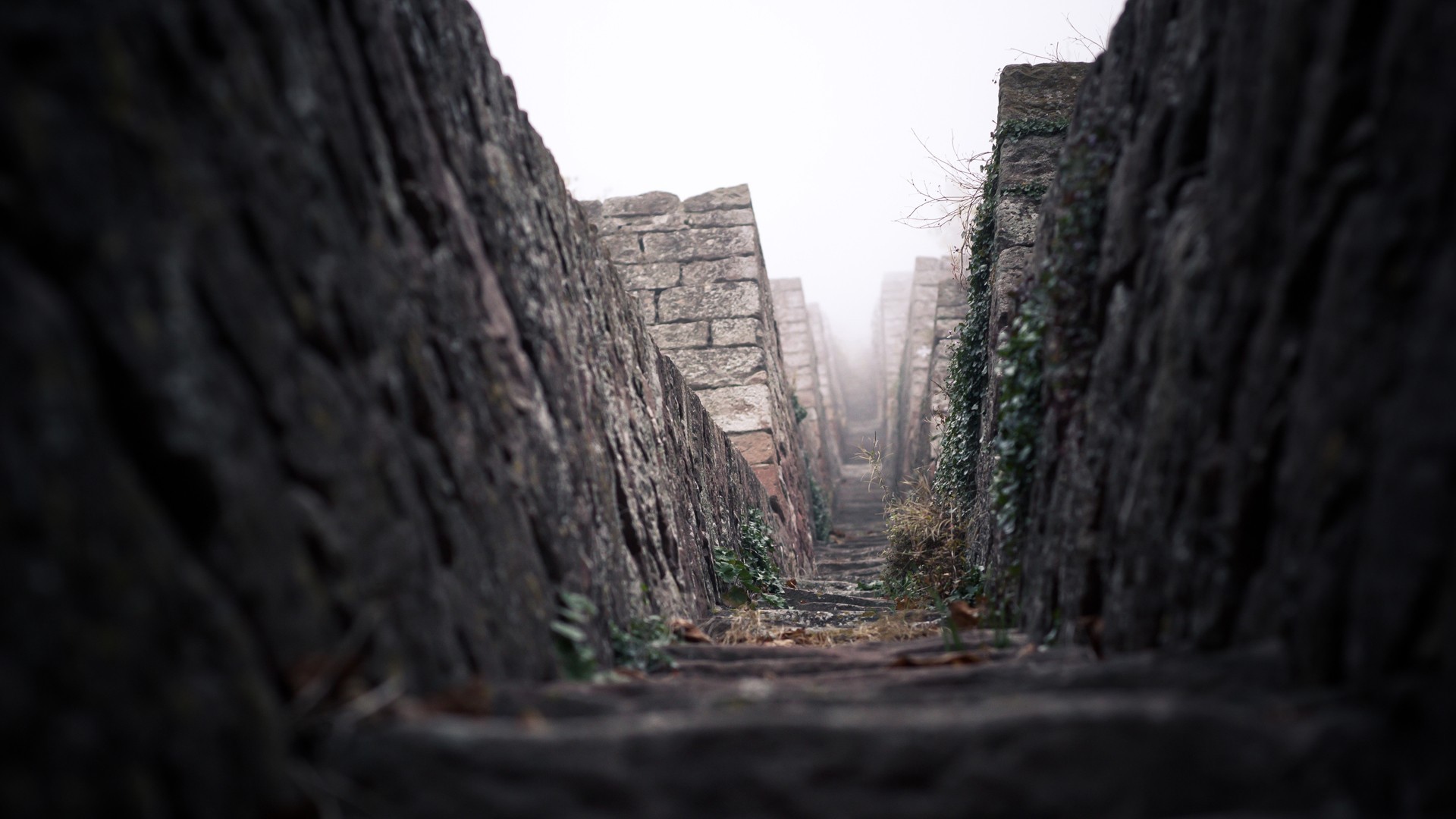 Дорога среди каменных пирамид