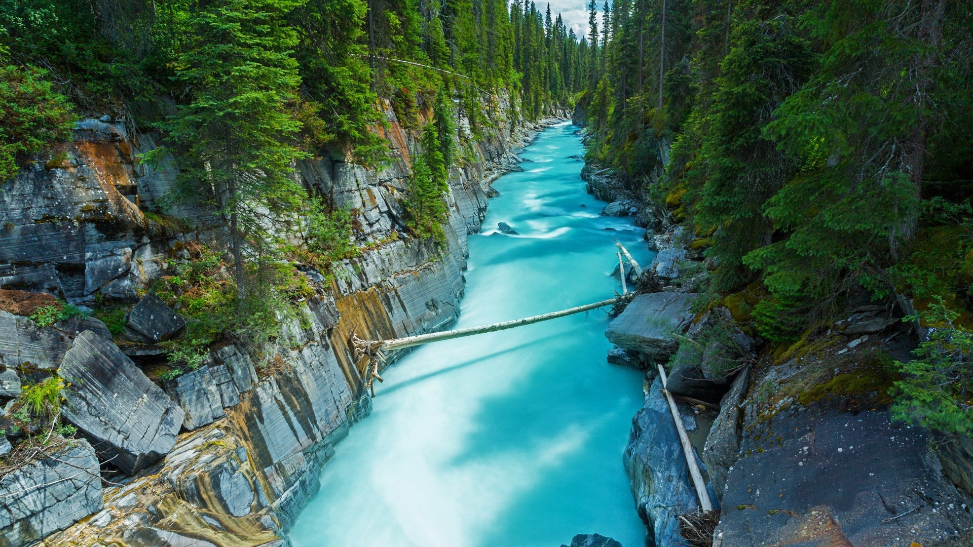 Голубая река среди леса в Канаде