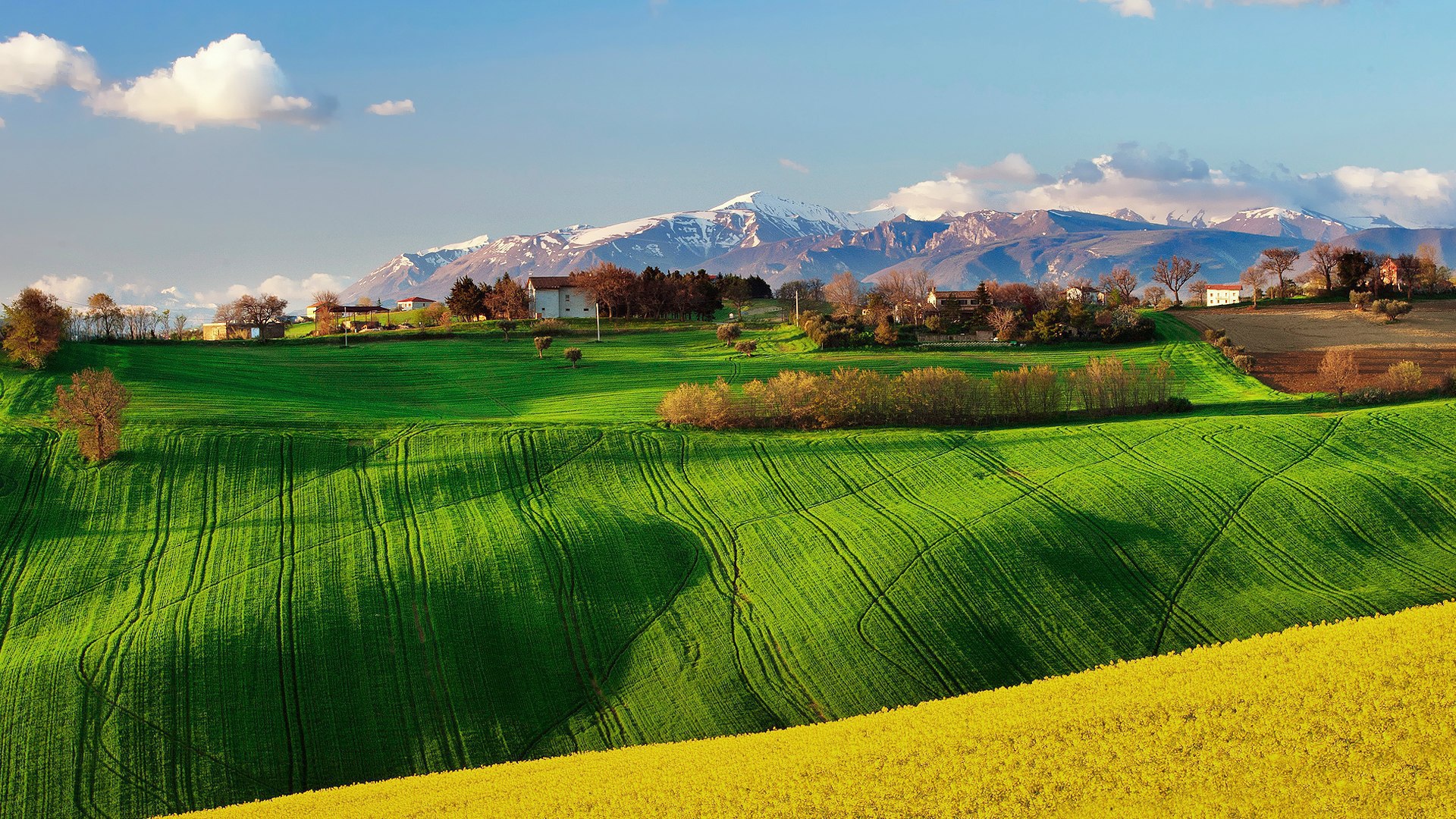 Зеленое поле в Италии