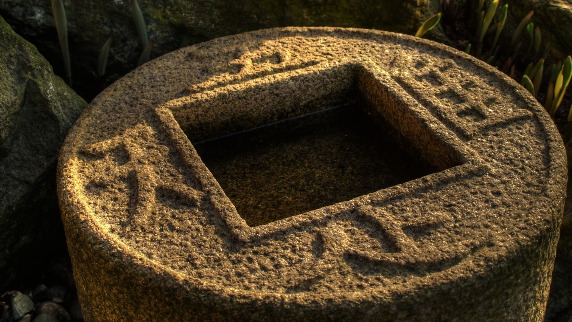 Водоем в японском саду