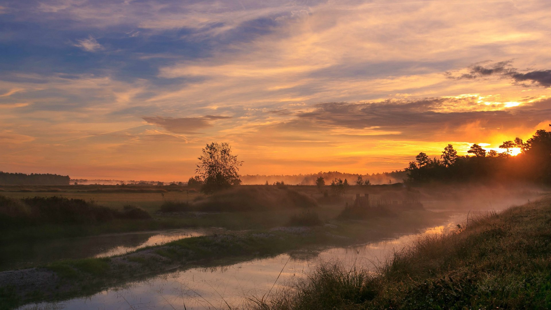 Woodland Park, Нью-Джерси, США
